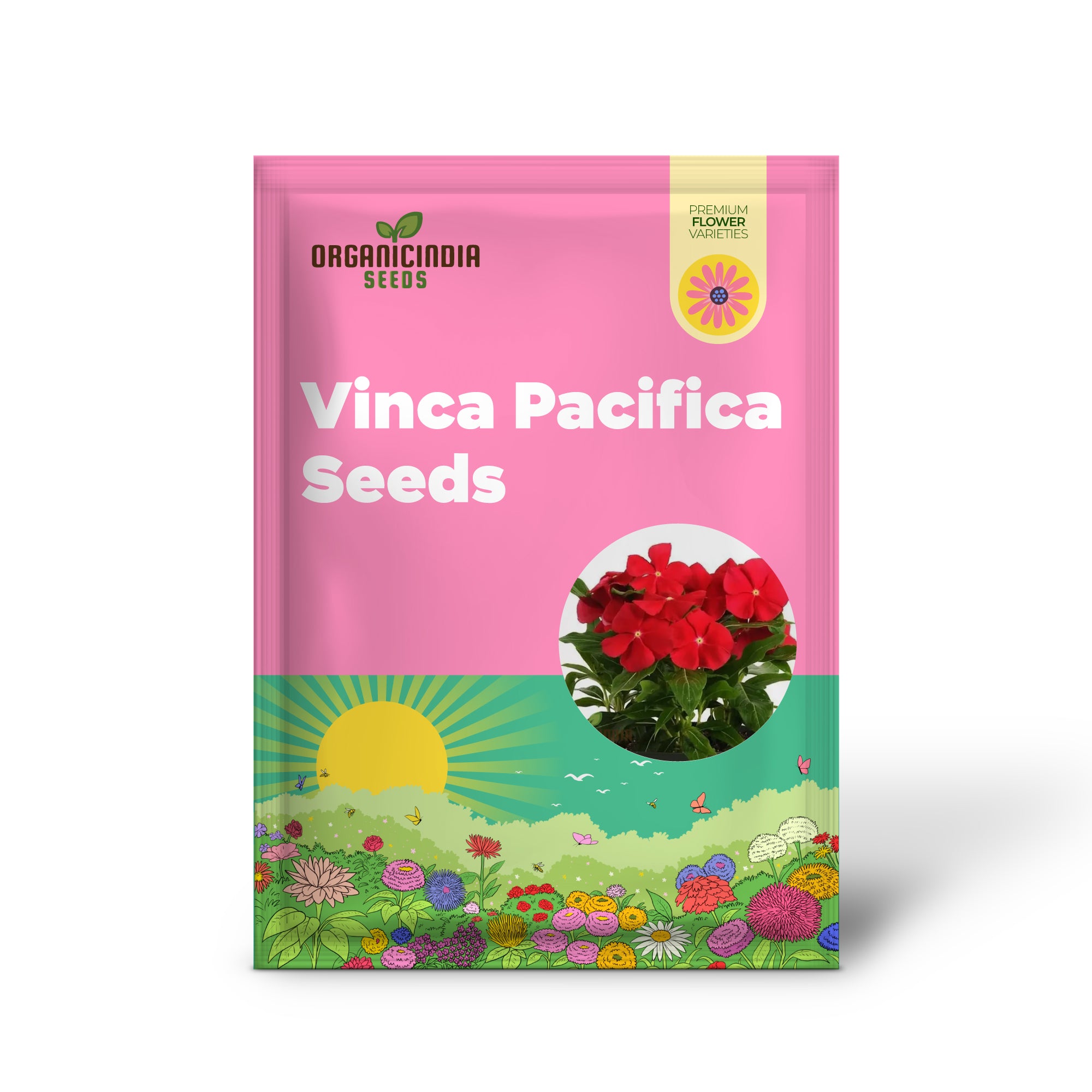 Graines de Vinca Pacifica XP Red Really Flower, fleurs annuelles de qualité supérieure, jardin robuste et dynamique
