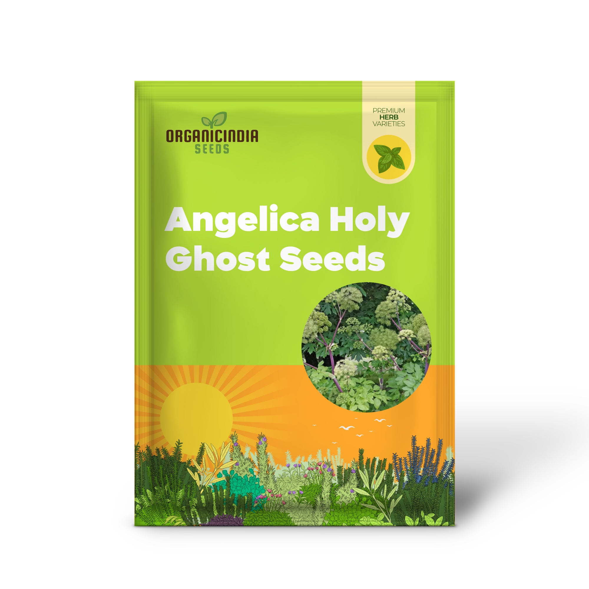 Angelica Holy Ghost Samen zum Anpflanzen, hochwertige Samen für den Gartenbau, perfekt für einen blühenden und üppigen Garten