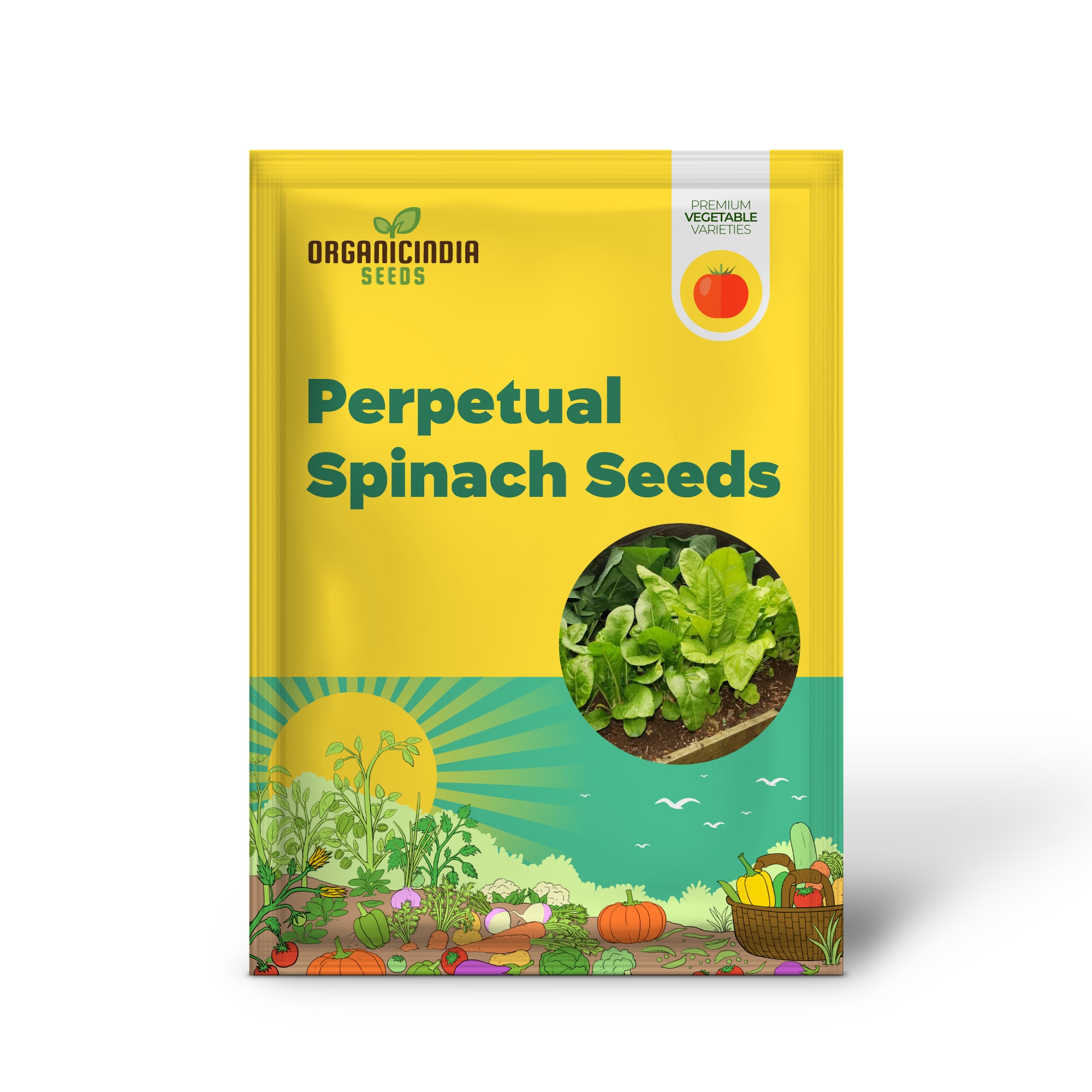 Graines d'épinards perpétuelles pour le jardinage - Des légumes à feuilles vertes à haut rendement, riches en nutriments et faciles à cultiver pour une récolte toute l'année