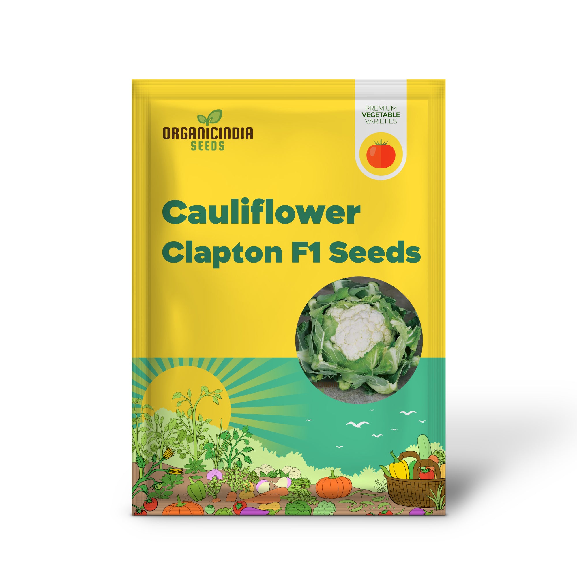 Graines de légumes de chou-fleur Clapton F1 à planter, de qualité supérieure, à haut rendement et résistantes aux maladies