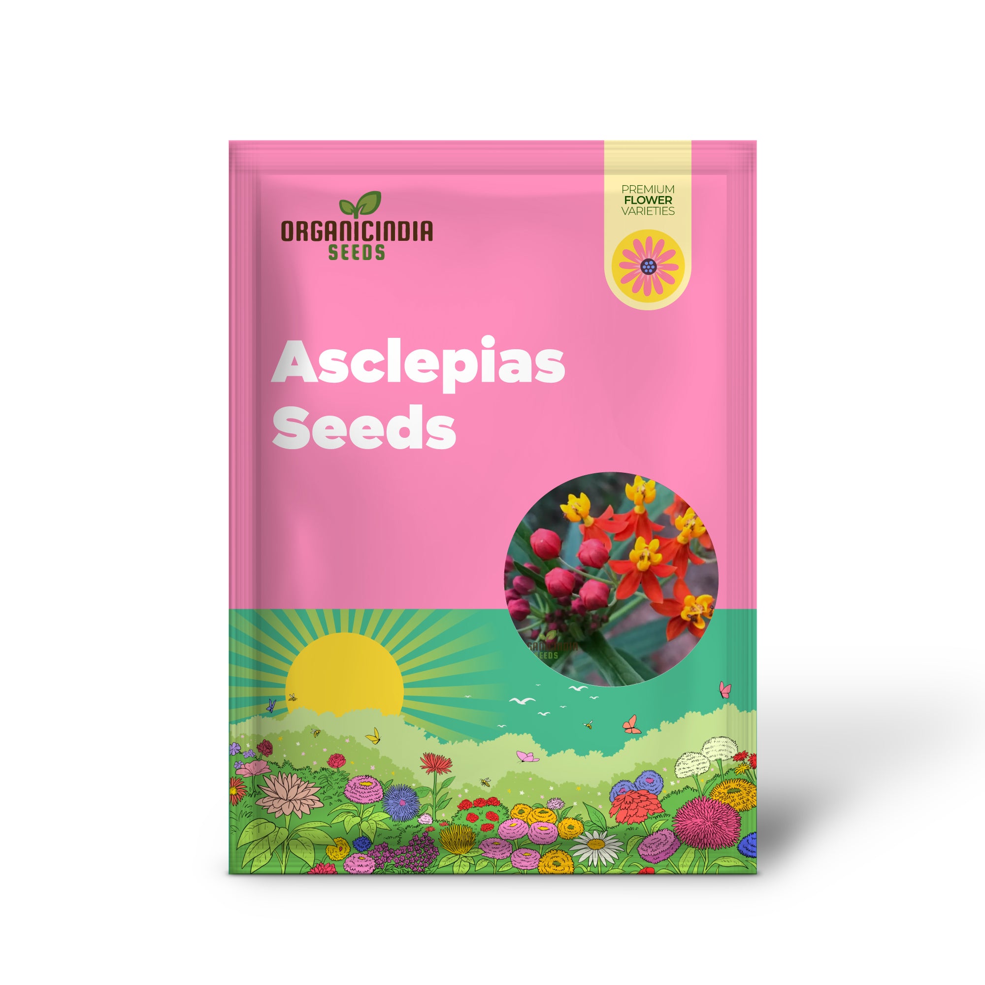 Asclepias Seeds  Flower seeds for Planting for Monarch Butterflies