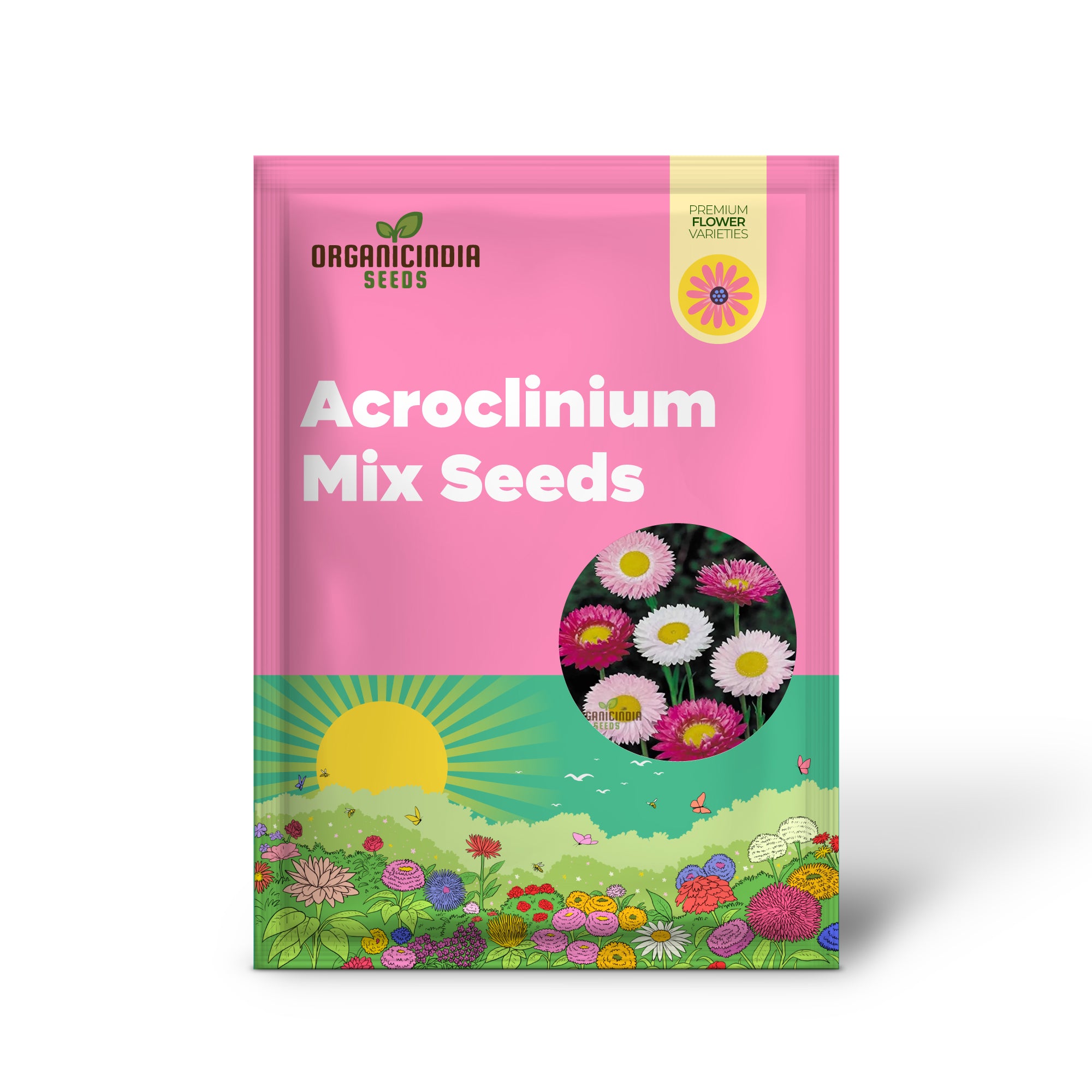 Acroclinium Mix Open Pollination Seeds - Ideal for Planting, Extensive Seed Variety for Your Garden