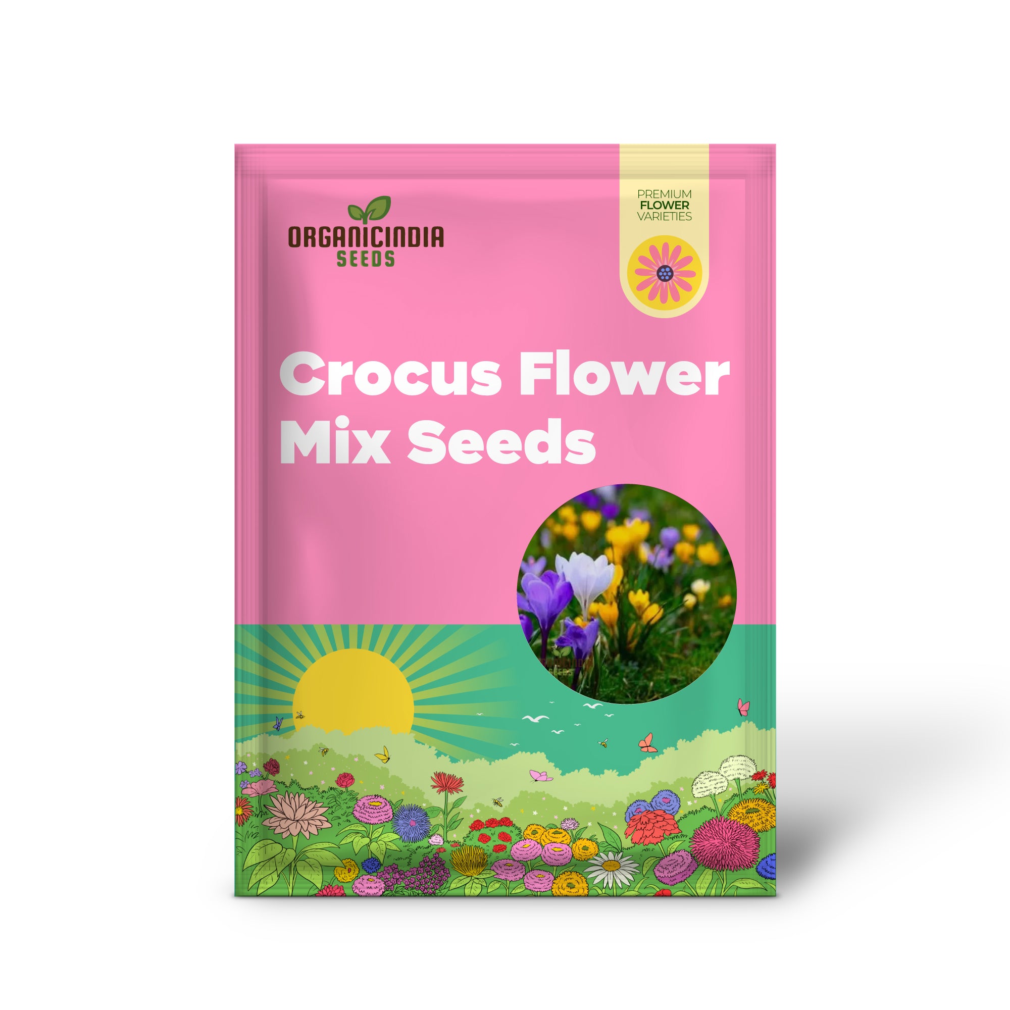 Mélange de graines de fleurs de crocus à planter, un mélange coloré de fleurs de crocus pour un beau jardin de printemps
