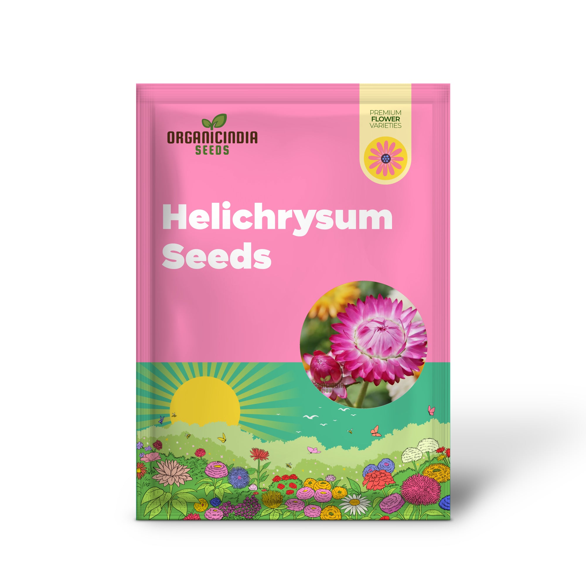 Paper Flower Mix (Helichrysum) Seeds for Planting - Colorful Variety, Easy to Grow