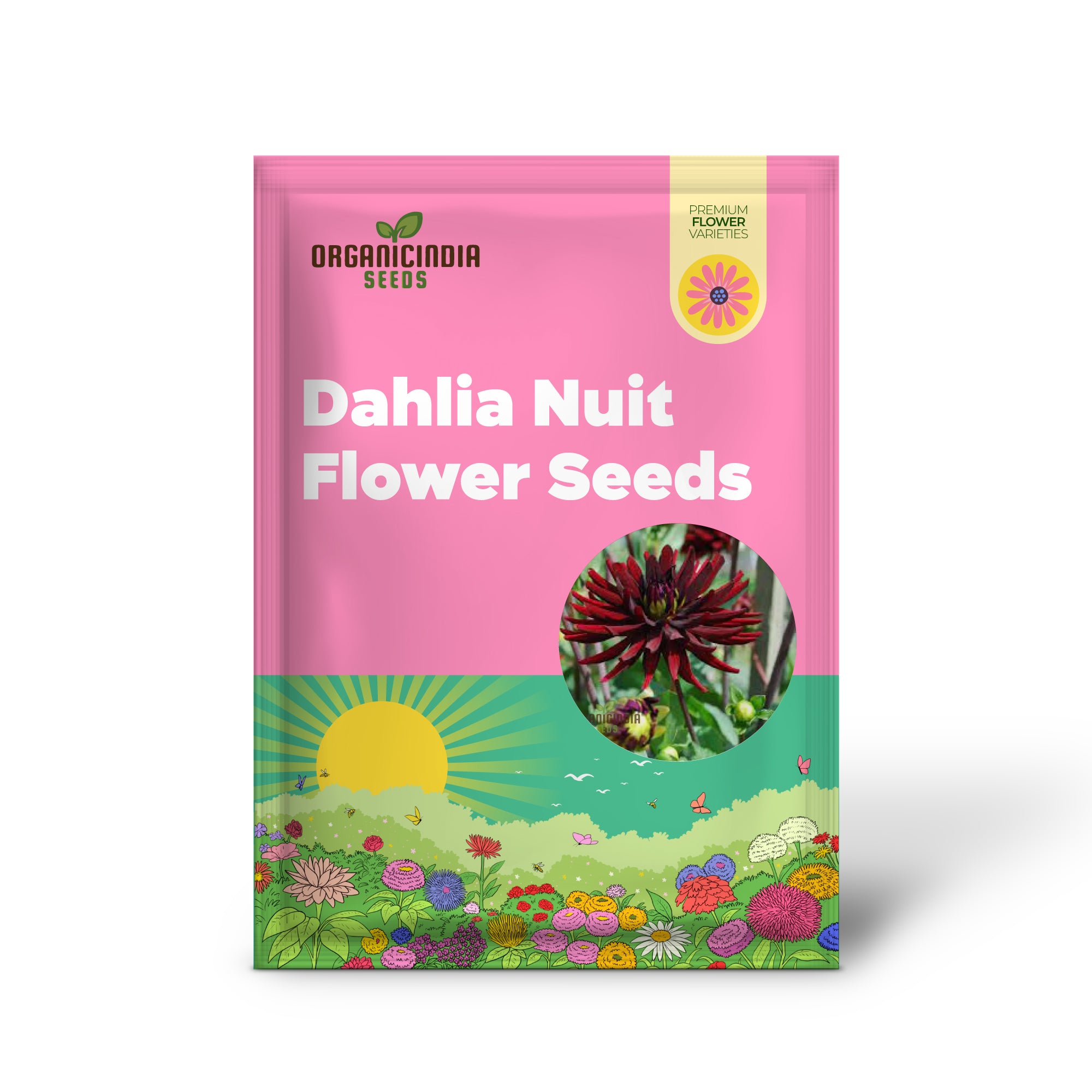Dahlia Nuit d'Ete 3lt Plante en pot - Qualité supérieure pour les amateurs de jardinage - Idéal pour les semences et l'embellissement du jardin