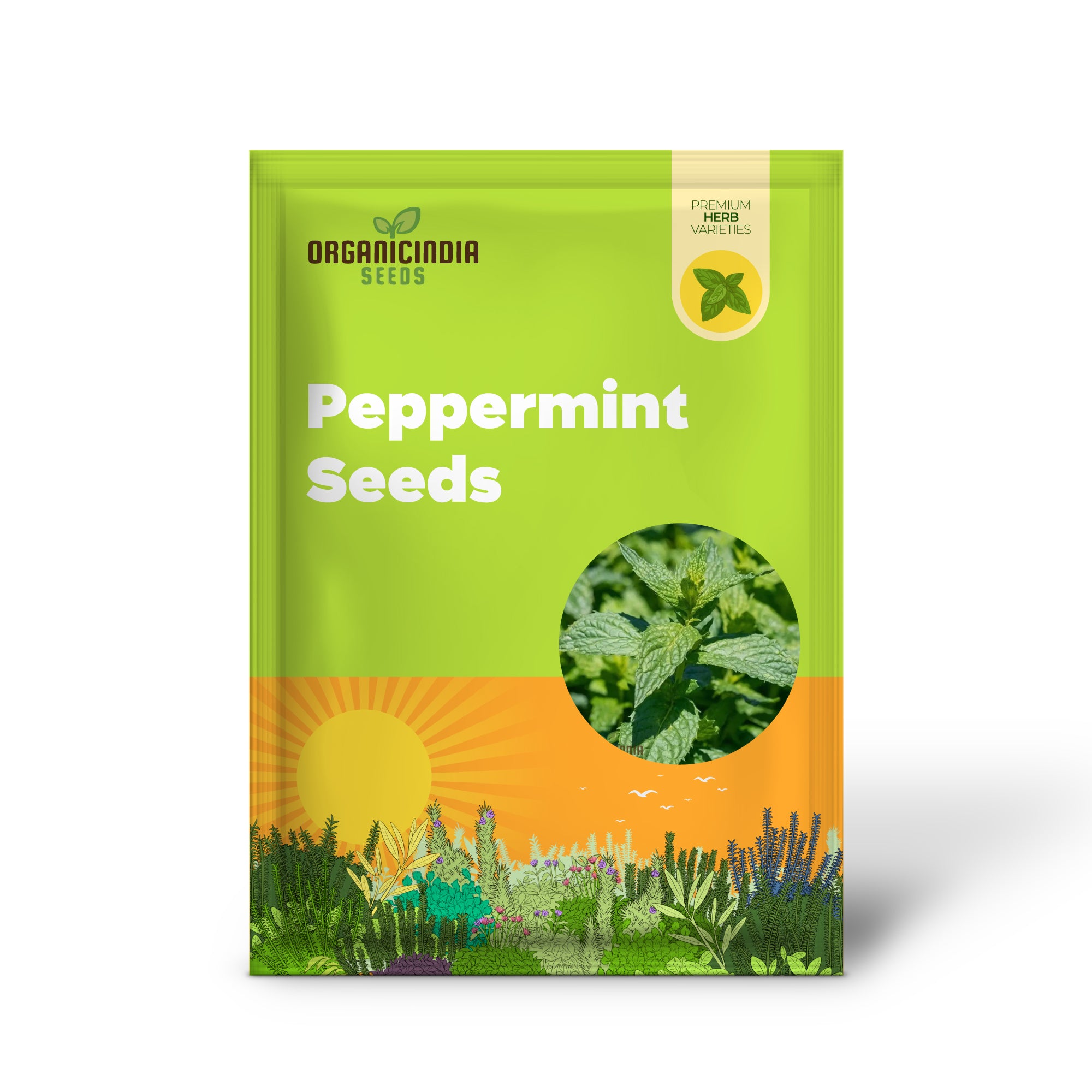 Premium Peppermint Seeds for Planting, Grow Refreshing, High-Quality Peppermint Seeds in Your Garden