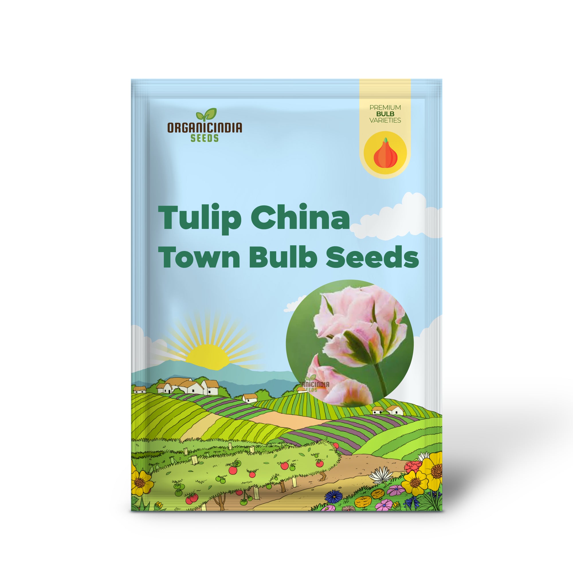 Tulip China Town Bulb Seeds for Vibrant Spring Gardens - High-Quality Flower Seeds for Gardening Enthusiasts (3 Bulbs For Planting)