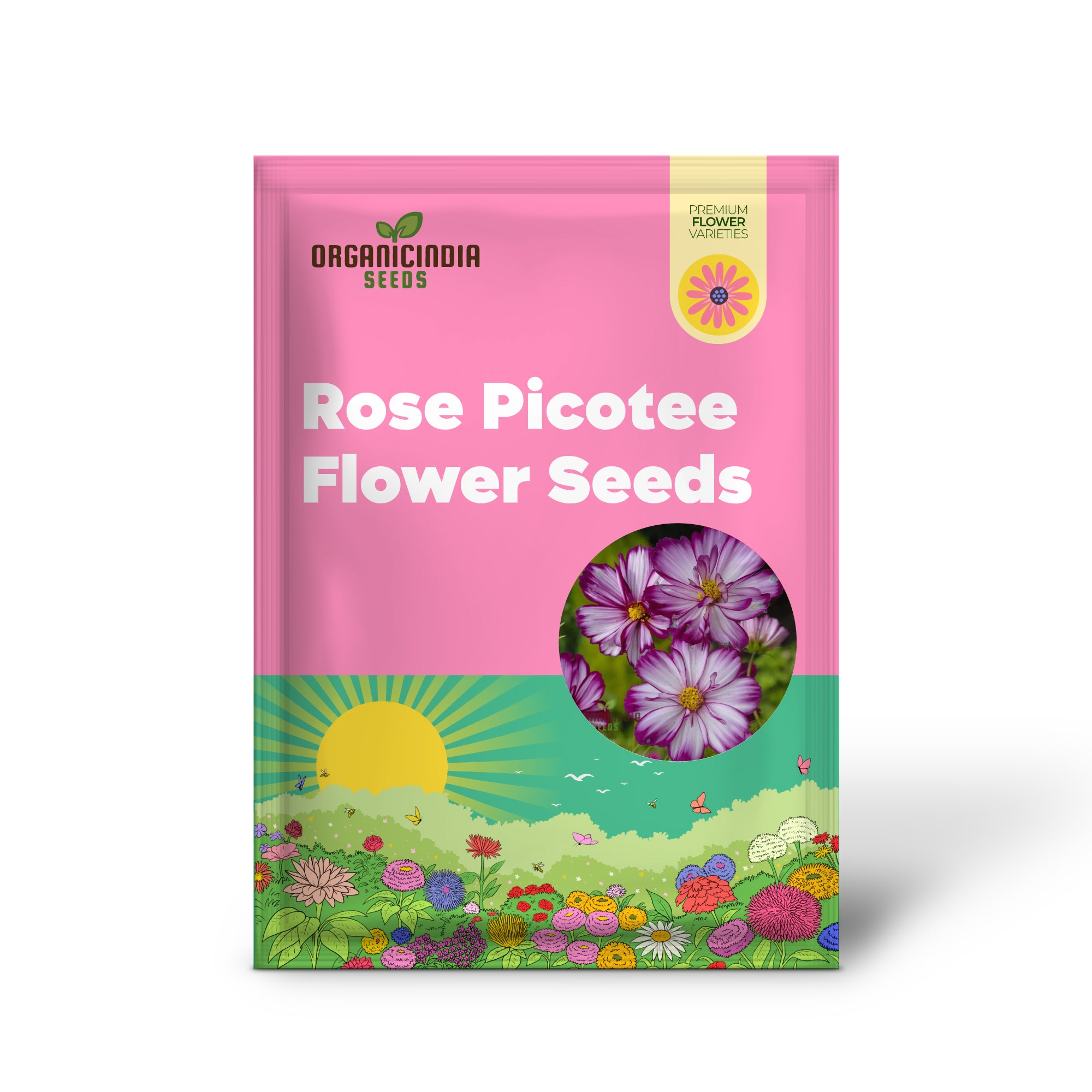 Cosmos Fizzy Rose Picotee Flower Seeds for Planting, Grow Stunning, Multi-Colored Cosmos Flowers Gardeners