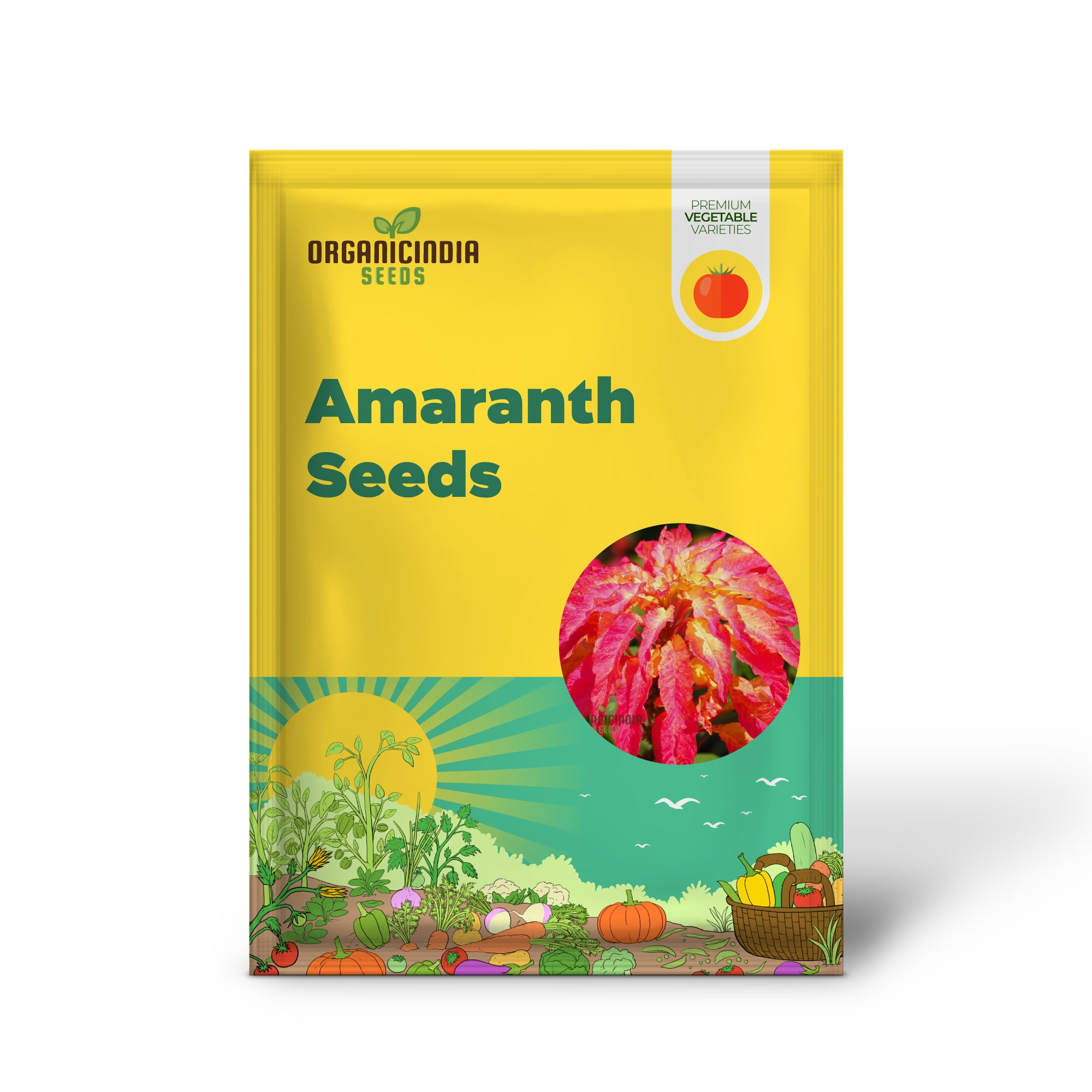Amaranth Bicolor Illumination Seeds for Planting, Gardening Enthusiasts