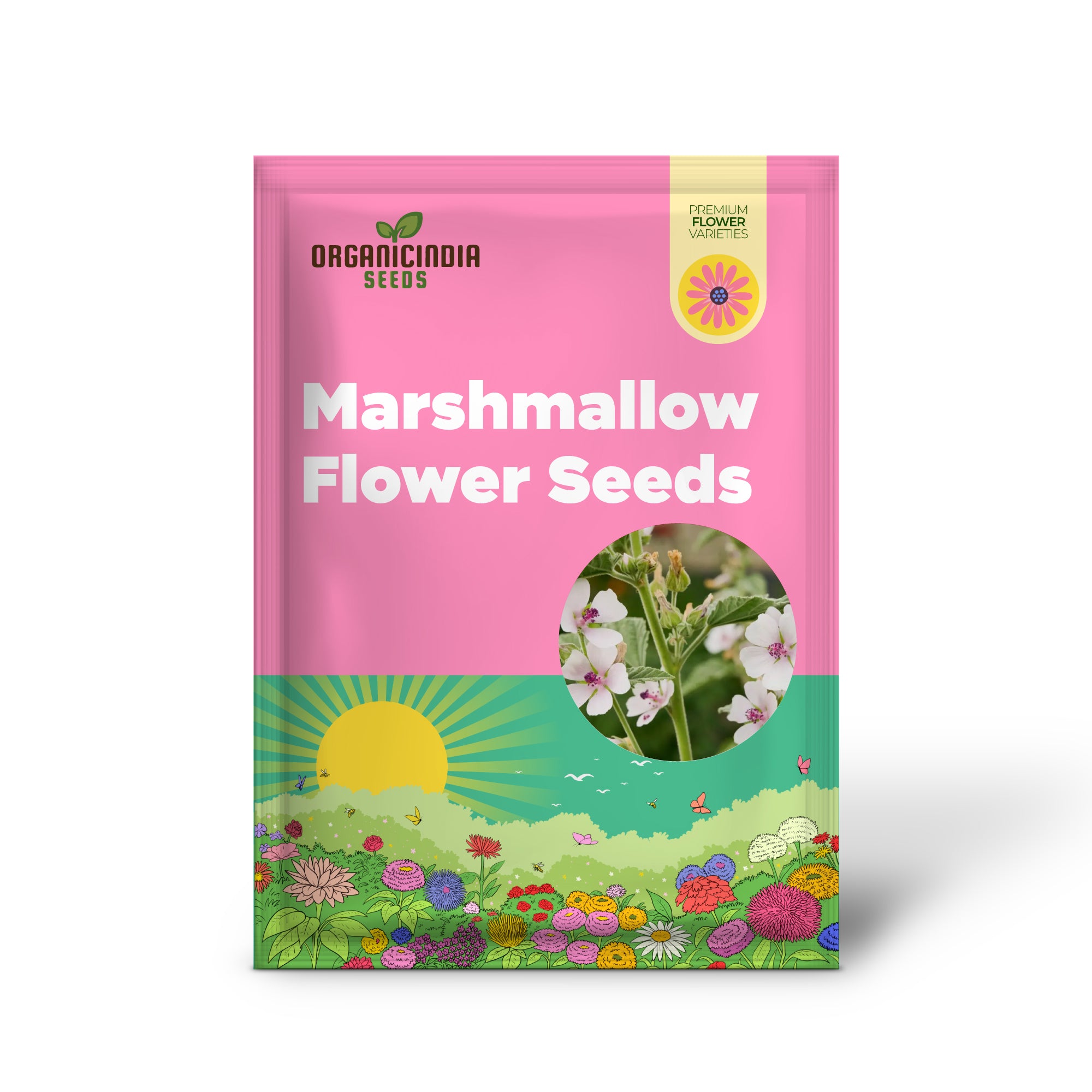 Marsh Mallow Flower Seeds for Planting