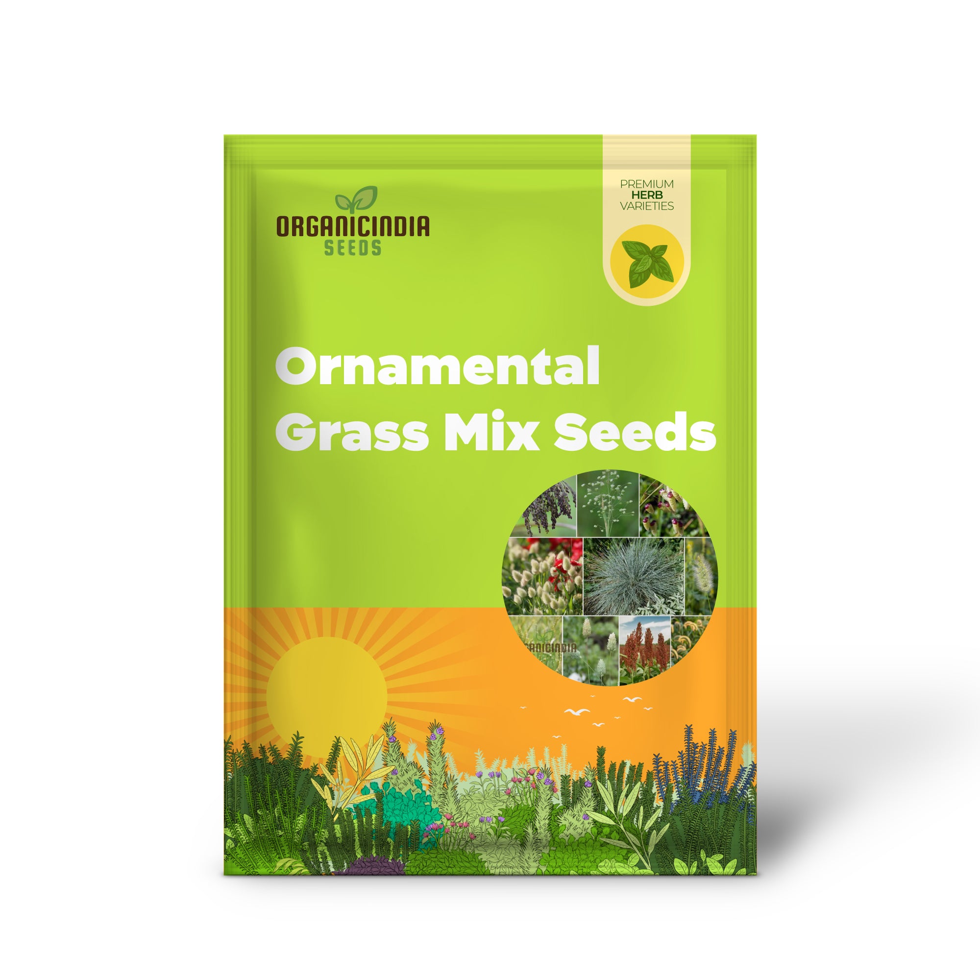Einjährige Ziergras-Mischungssamen zum Anpflanzen, für Liebhaber. Schaffen Sie atemberaubende, strukturierte Gartenlandschaften mit leicht anzubauenden, lebendigen Gräsern.