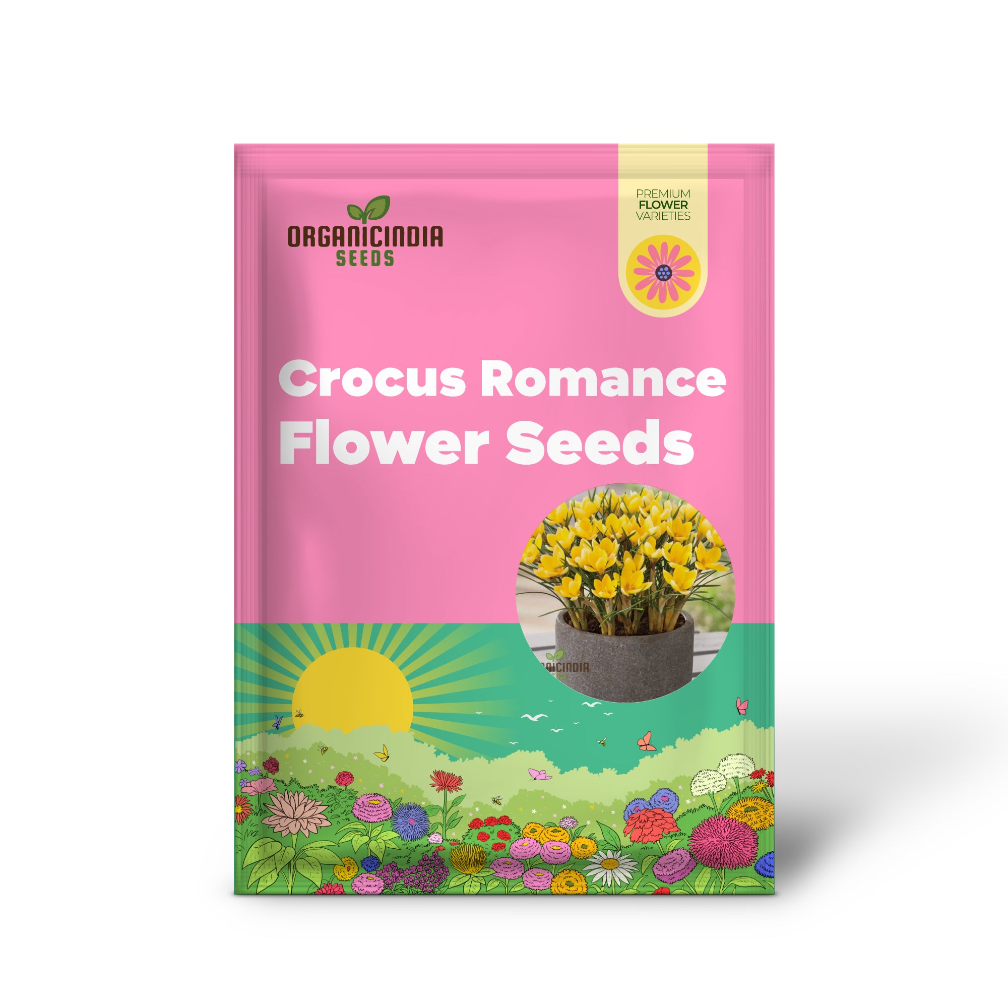 Crocus Chrysanthus Romance Flower Seeds For Planting, Gorgeous Golden Yellow Crocus for a Beautiful Early Spring Garden Display