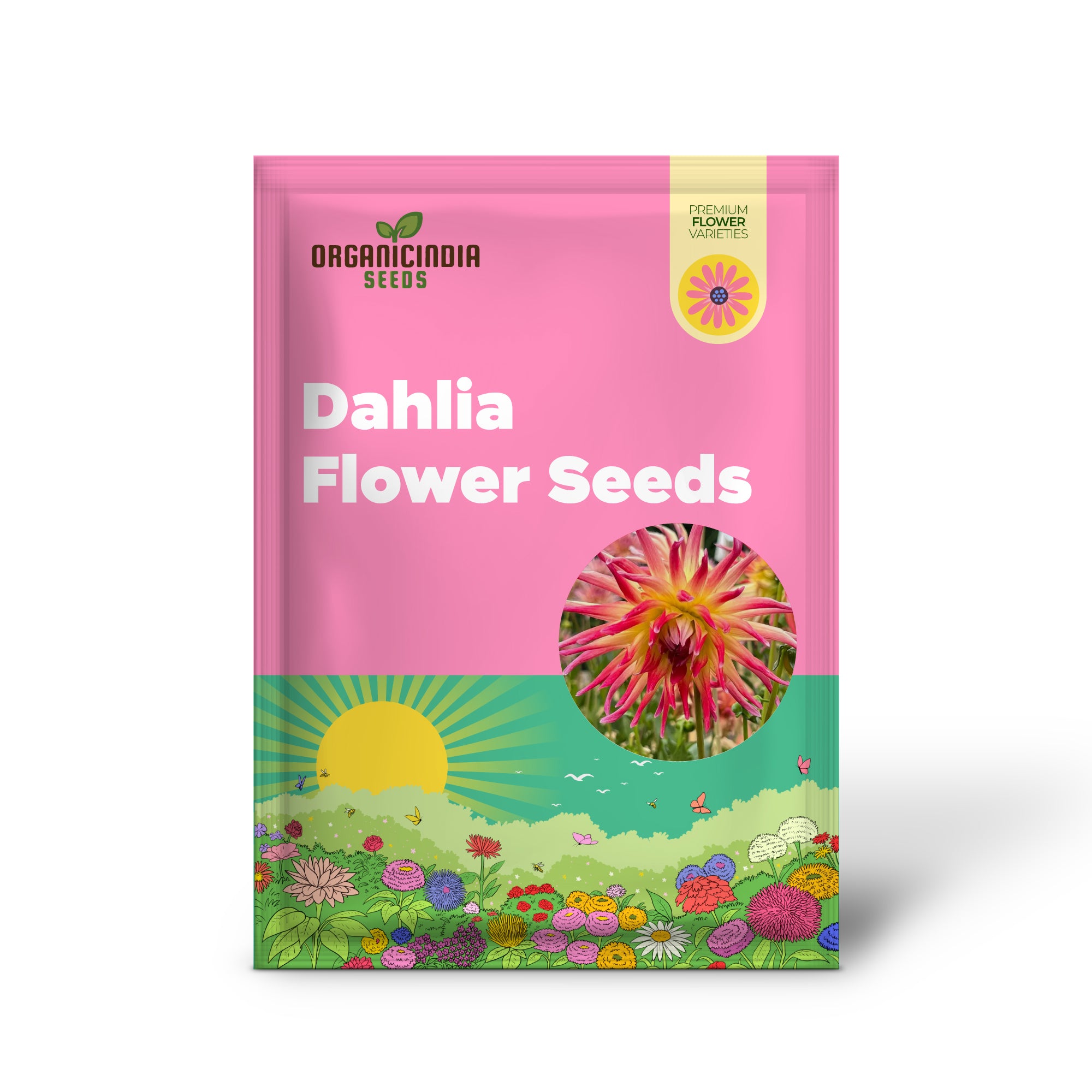 Graines de fleurs de dahlia à flash électrique pour la plantation, dahlias vibrants et colorés pour un superbe affichage de jardin d'été