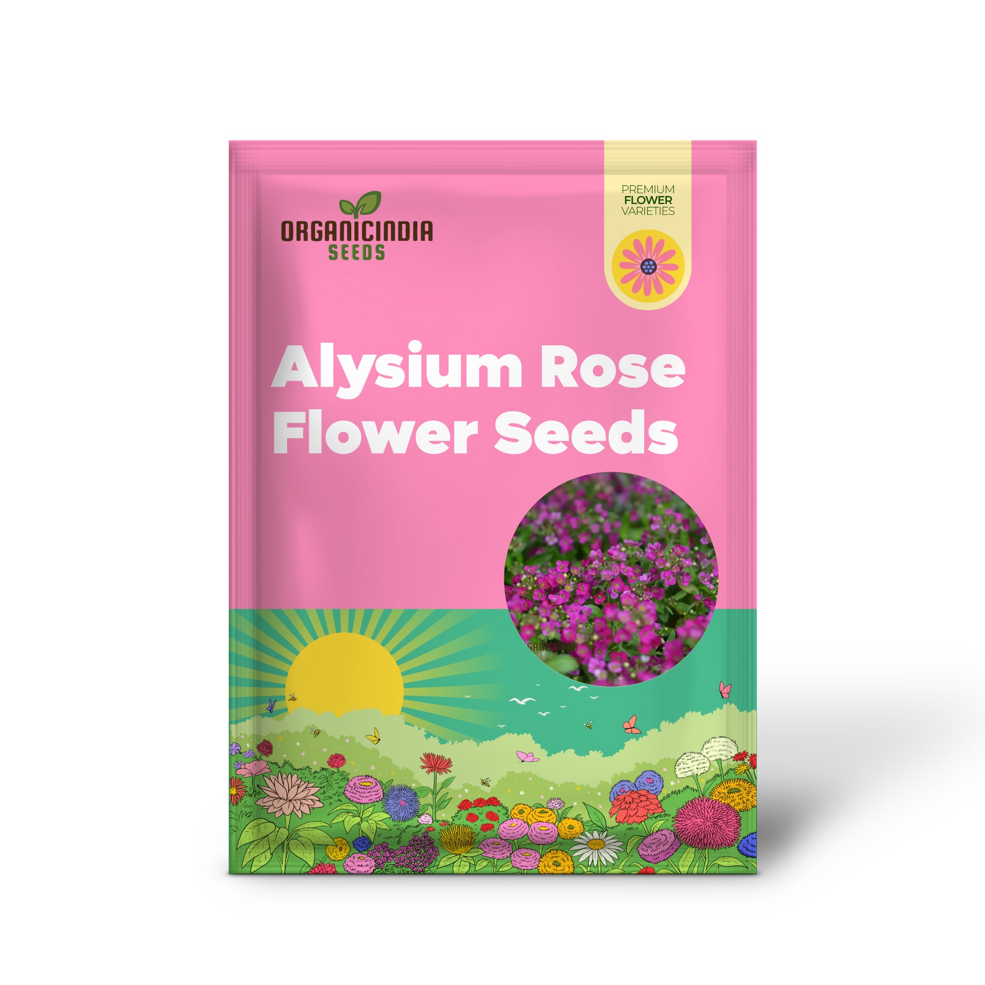 Alysium Rose-O-Day Rose Flower Seeds for Planting - Enhance Your Garden with These Exquisite Blooms