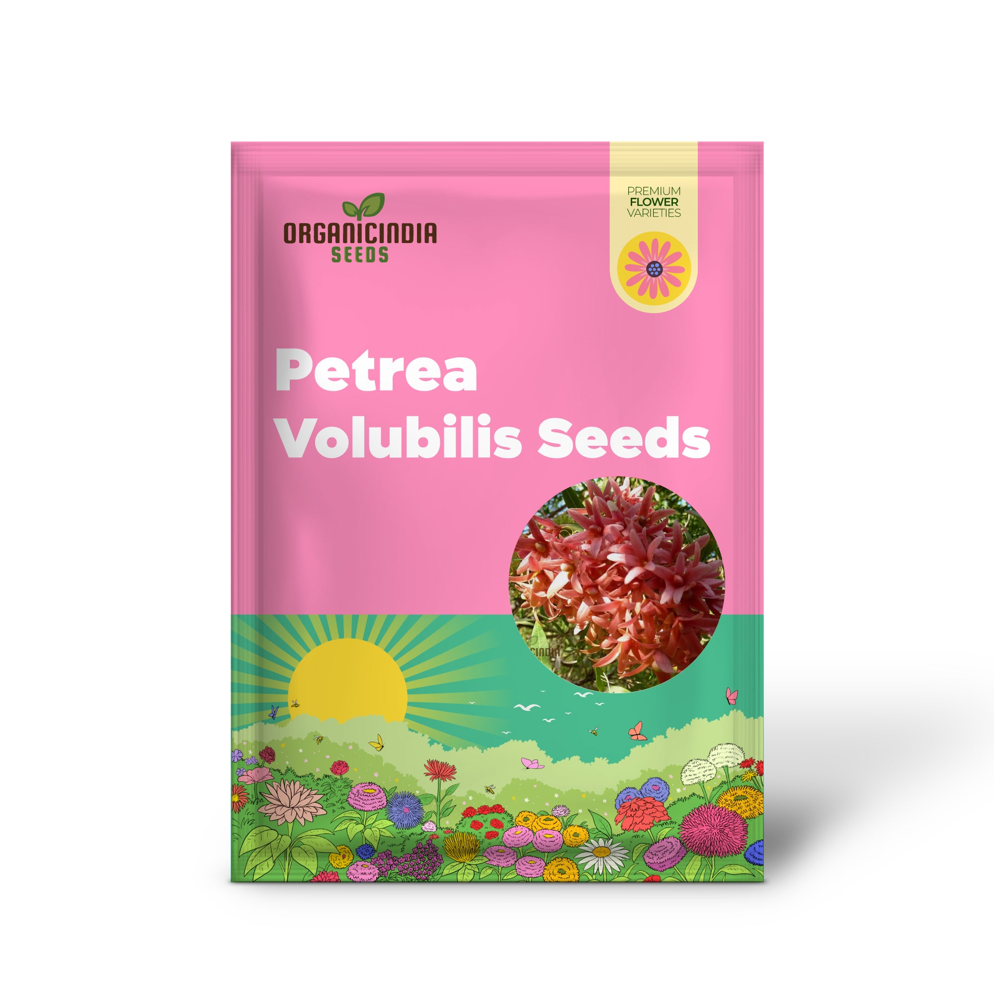 Graines de Petrea volubilis – Une vigne grimpante exquise pour votre jardin | Graines de jardinage
