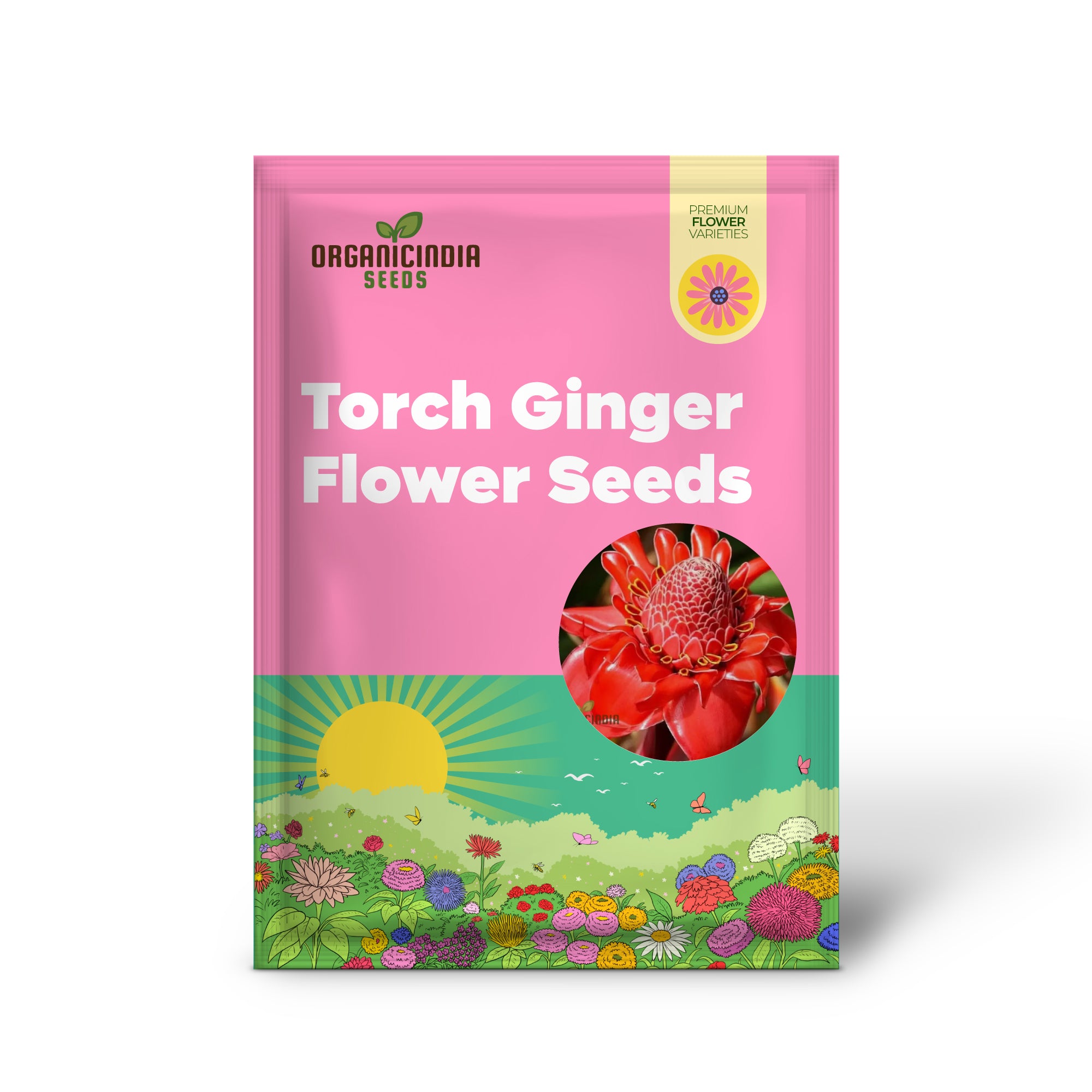 Red Torch Ginger Flower Seeds - 50 Seeds Pack for Sowing in Home Garden | All Season Plant Seeds for Gardening Enthusiasts