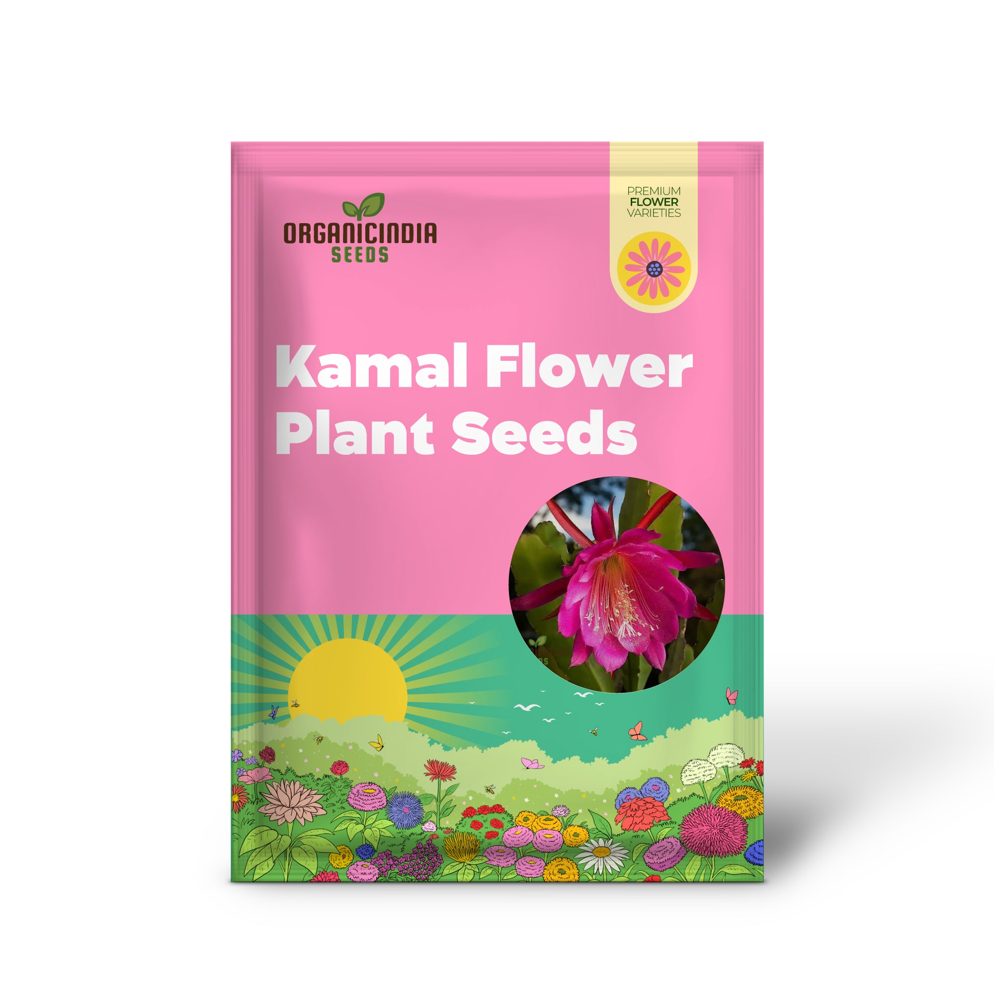 Brahma Kamal Blumenpflanzensamen (Königin der Nacht) Saussurea Obvallata für den Rasen im Hausgarten – Prunus Serrulata Samen zum Anpflanzen und Gärtnern