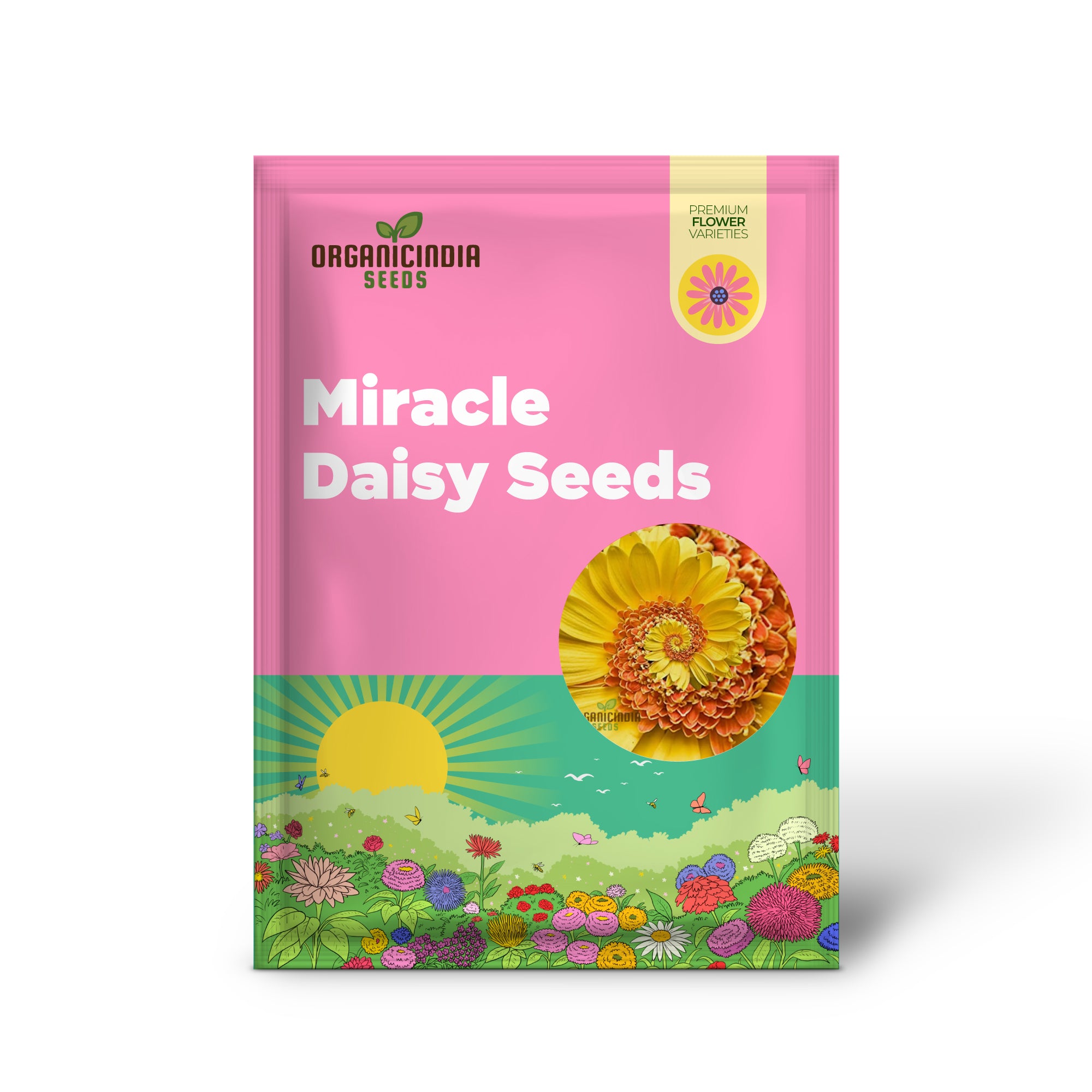 Miracle Daisy Seeds - Yellow and Orange - 30 Pcs for Home Garden | Premium Quality Flower Seeds for Planting | Organic Gardening Supplies