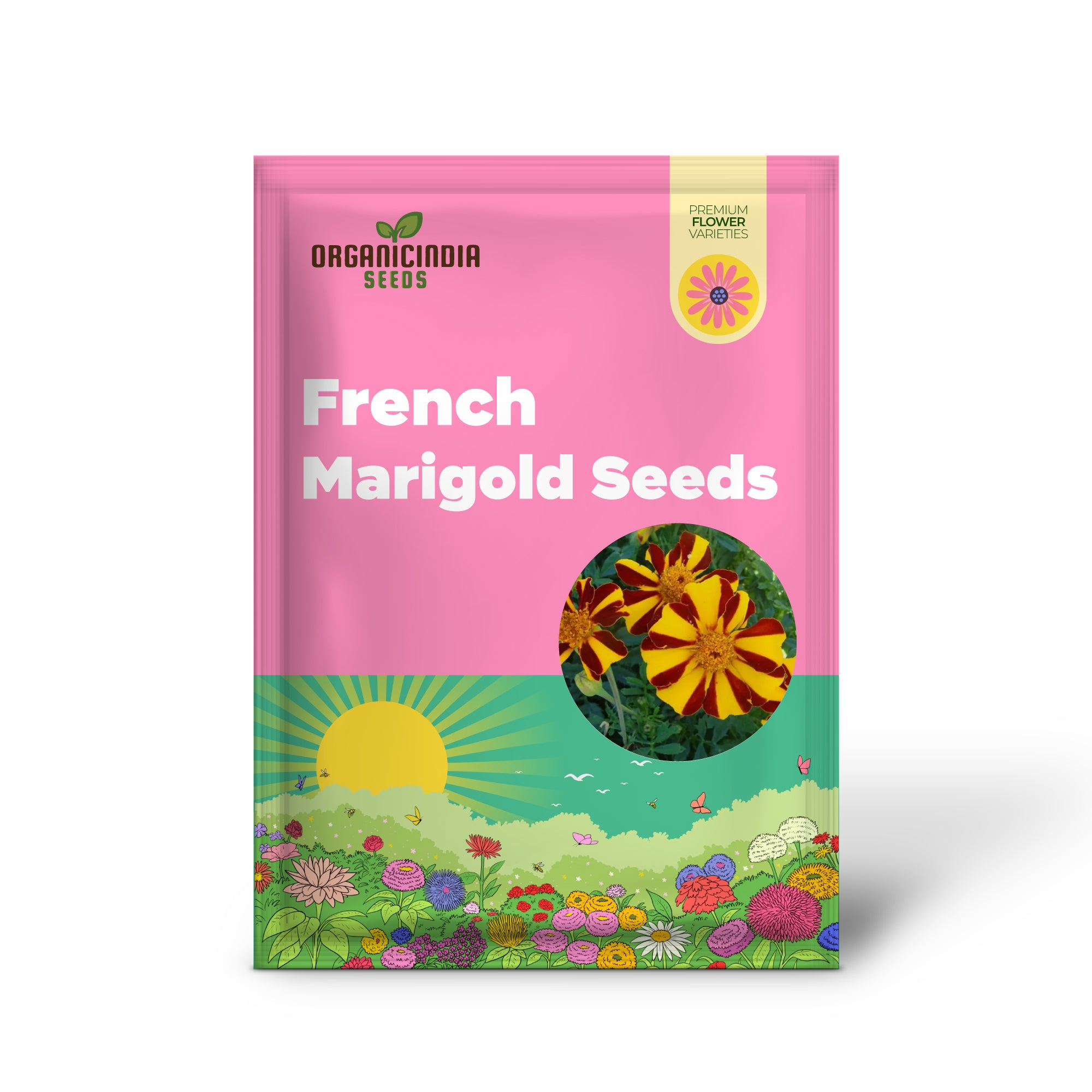 French Marigold Seeds  Court Jester Variety  Organic Gardening Seeds