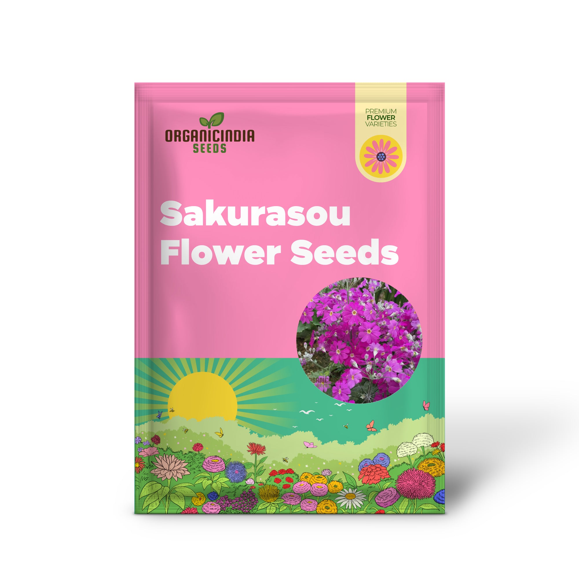 Graines de fleurs japonaises Sakurasou (Primula Sieboldii), graines de qualité supérieure pour le jardinage