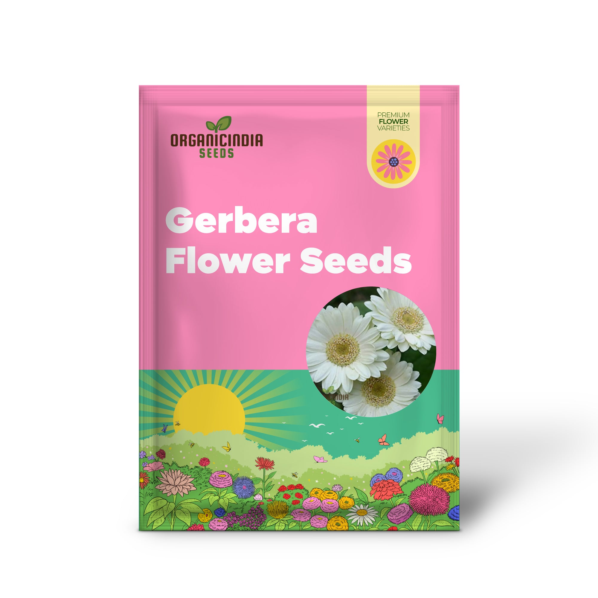 Gerbera Flower Seeds for Planting, Vibrant & Long-Blooming Gerbera Daisies for Your Garden