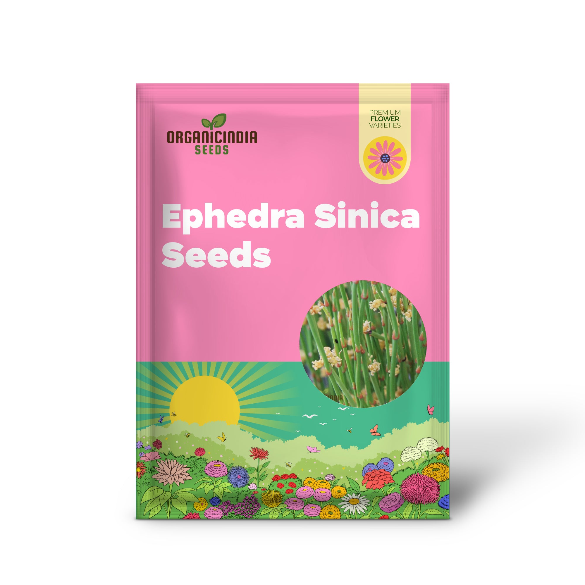 Ephedra Sinica Seeds for Planting, Grow Your Own Ephedra Garden, Premium High-Quality Seeds - For Ornamental Use Only, Not for Consumption or Extraction