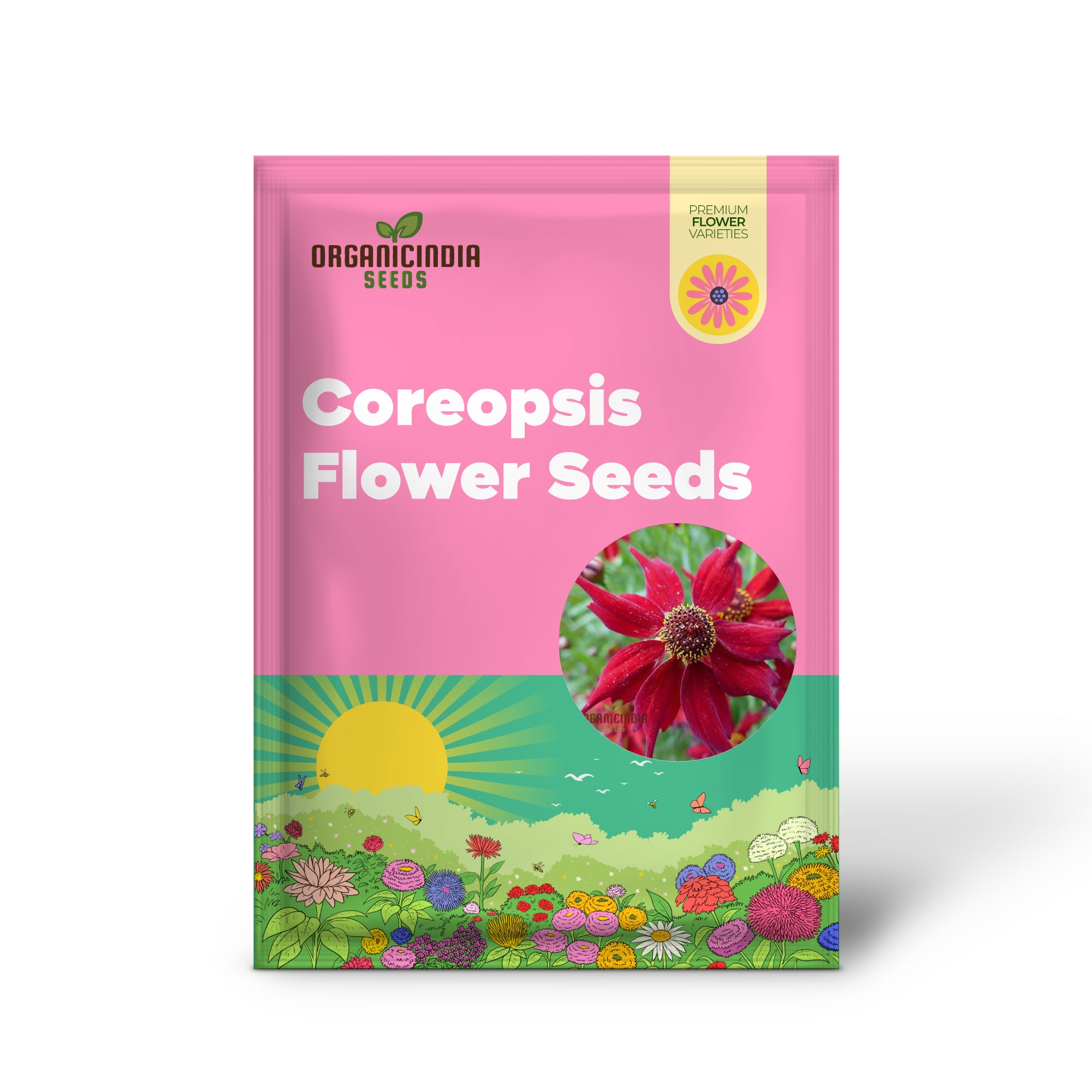 Coreopsis Red Flower Seeds for Planting, A Complete Guide to Growing Vibrant Red Coreopsis Blooms