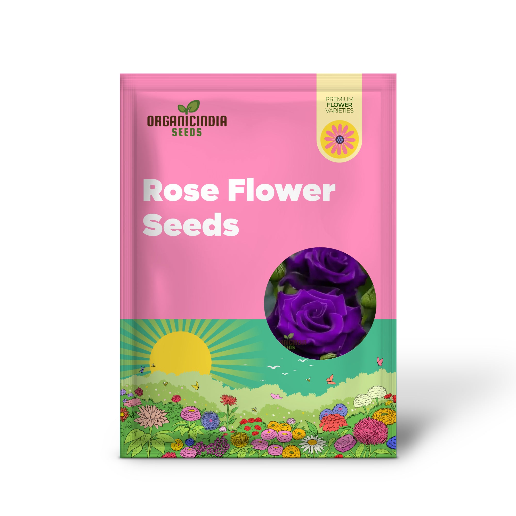 Purple Rose Flower Seeds, Easy to Grow  Maintain China Rose for Stunning Home Gardening  Landscaping, Premium Seeds for Planting