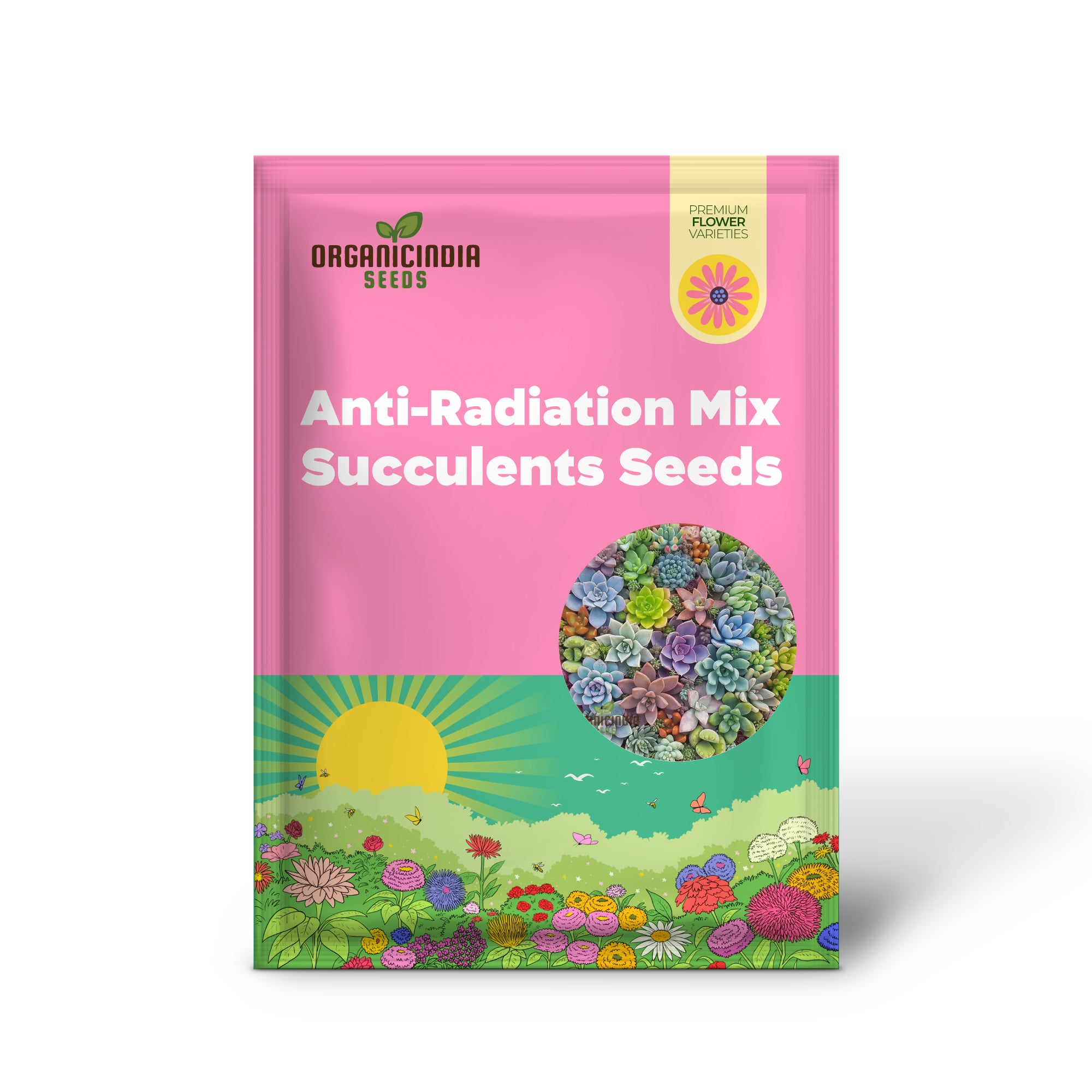 Anti-Radiation Mix Succulents Seeds Pack â€“ Grow Indoor & Outdoor All-Season Varieties to Keep Your Family Safe, Perfect for Home Gardening Enthusiasts, Premium Succulent Seeds Collection