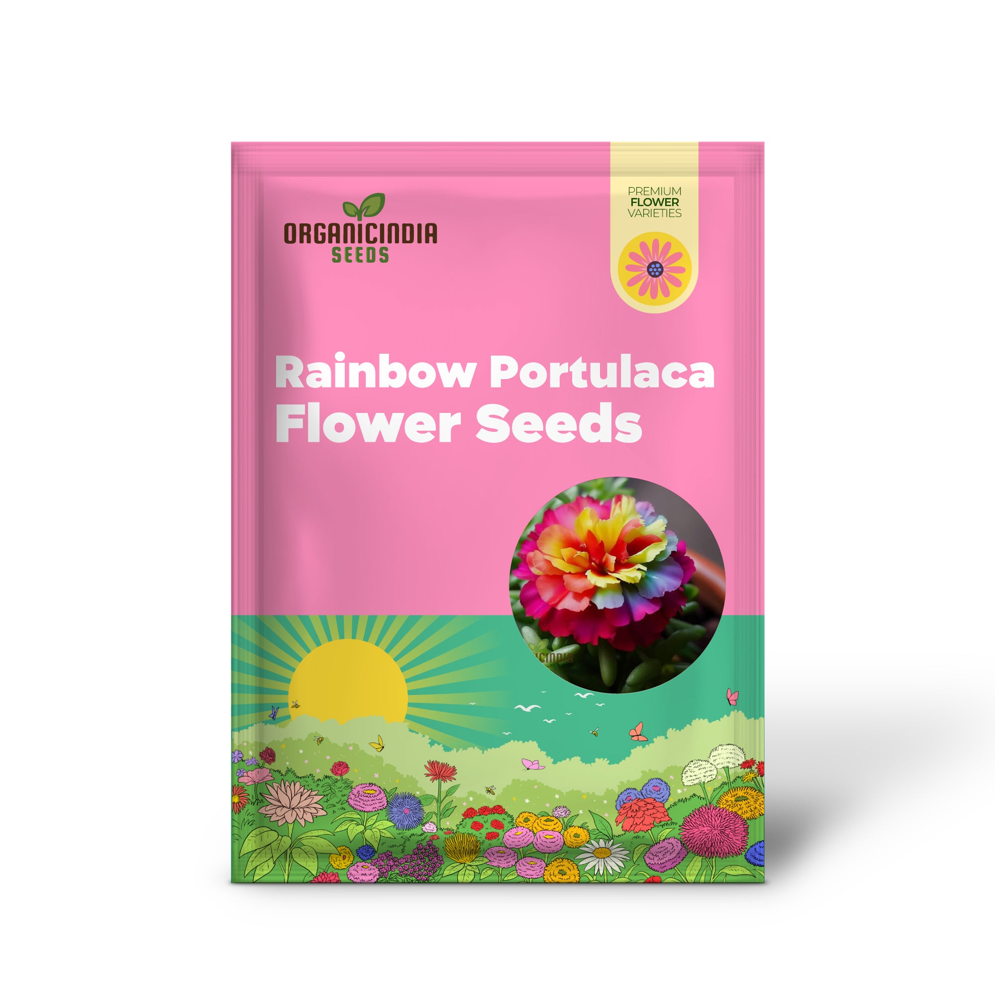 Graines de fleurs de pourpier arc-en-ciel, guide de plantation et de jardinage expert pour une floraison colorée