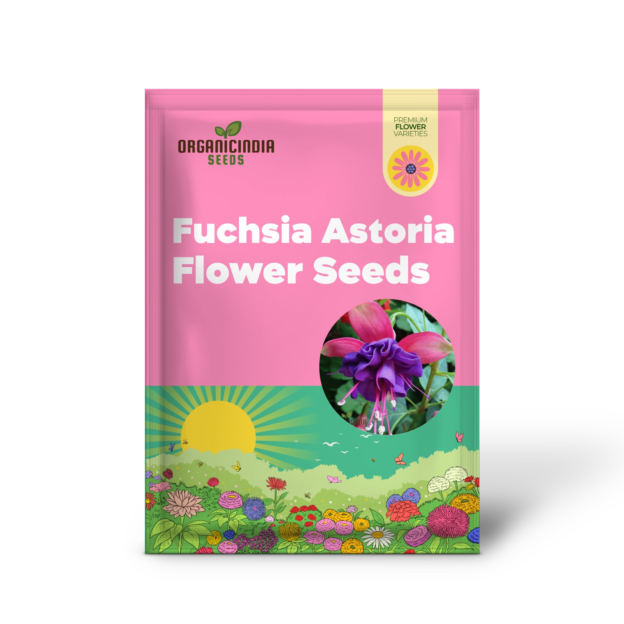 Graines de fleurs Fuchsia Astoria, jardinage et plantation, graines biologiques de haute qualité pour des plates-bandes et des conteneurs dynamiques