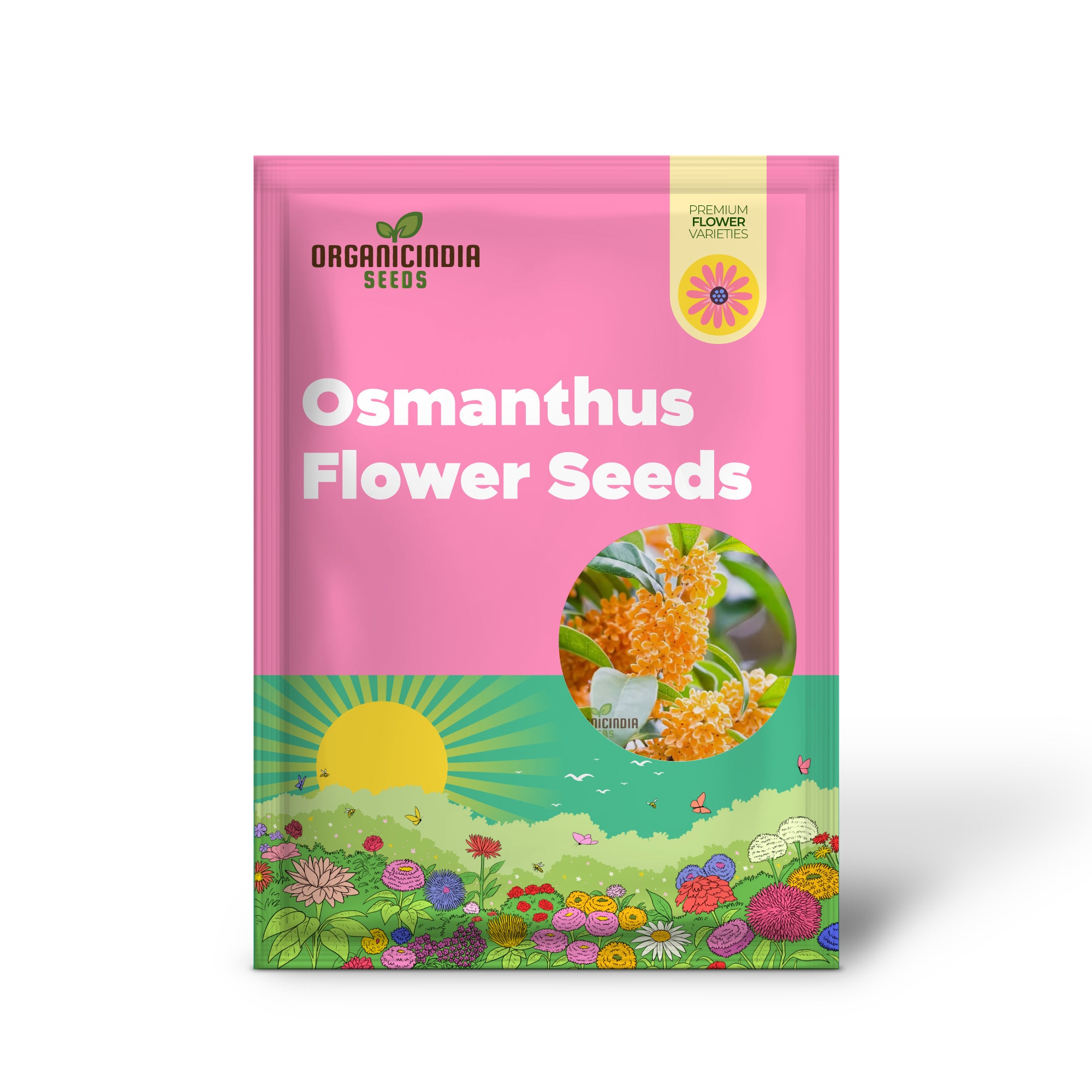 Perennial Osmanthus Fragrans Seeds for Planting, Premium High-Quality Flower Seeds for Your Garden
