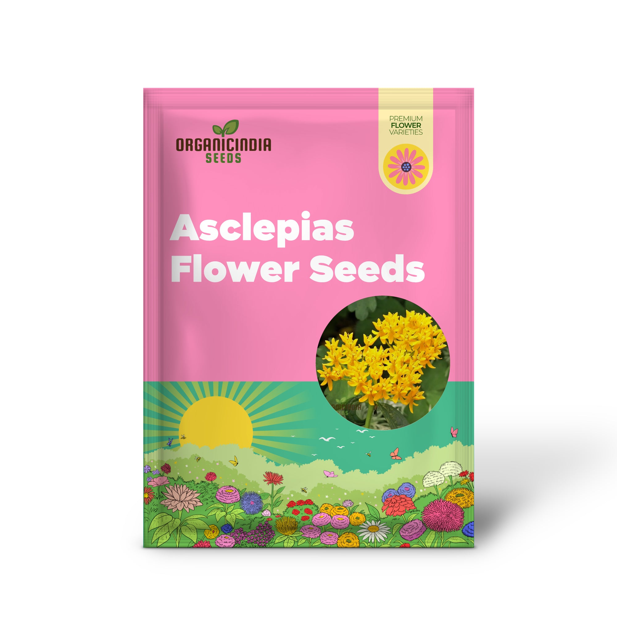 Asclepias Tuberosa 'Hello Yellow Butterfly' Flower Seeds for Planting, Premium Quality Seeds for Beautiful Butterfly Gardens