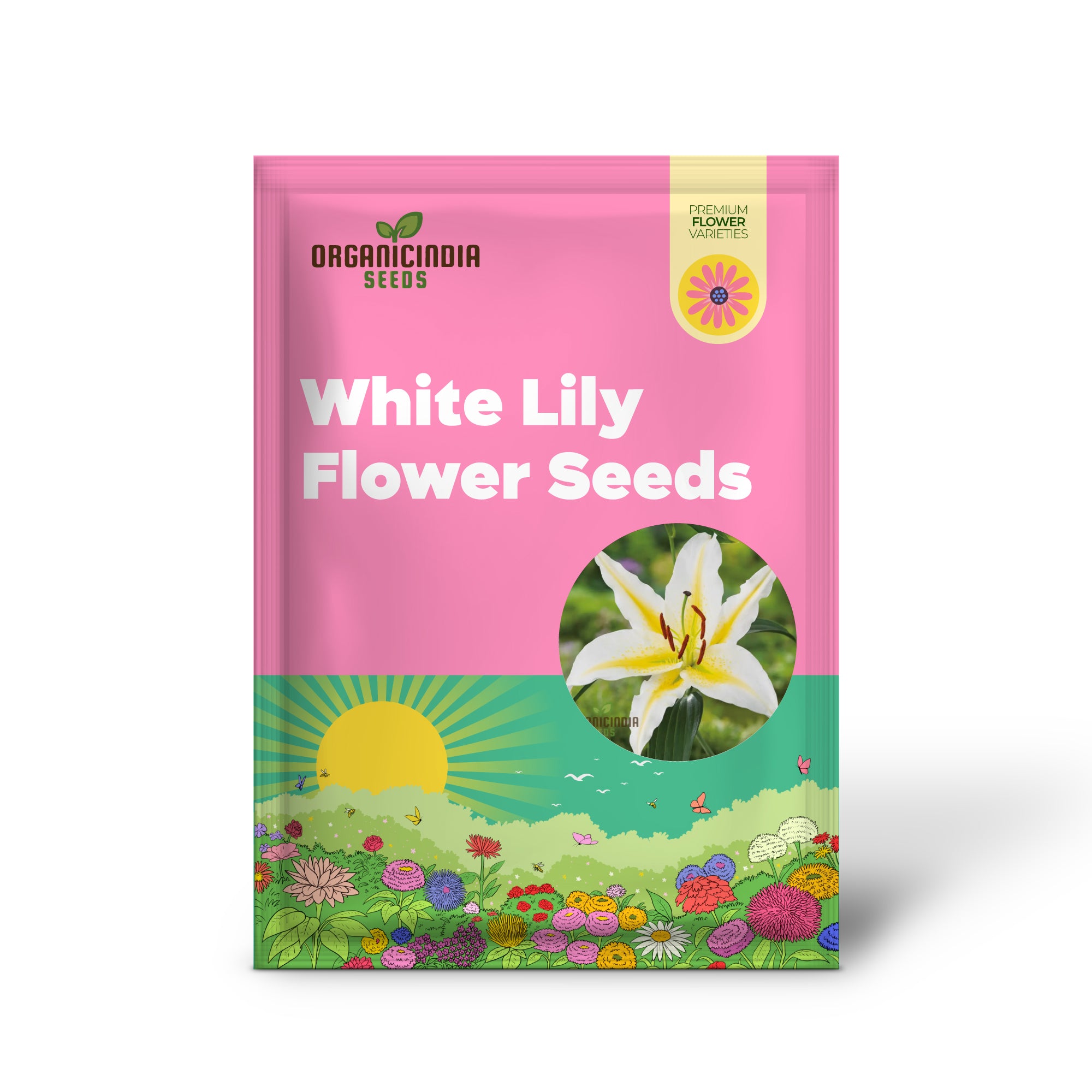 Yellow Mixed White Lily Flower Seeds for Planting, Expert Guide to Growing Beautiful Lily Varieties