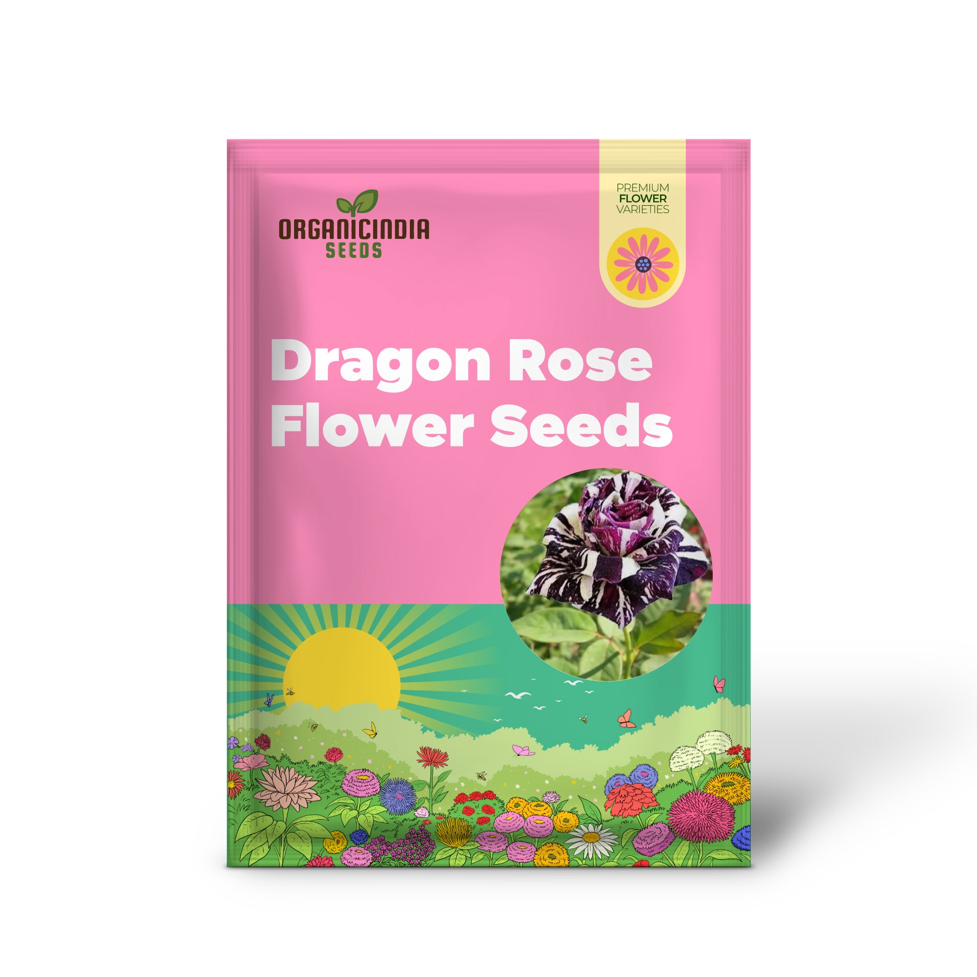 Dragon Rose Black Flower Seeds - Premium Non-GMO Seeds for Home Gardening by E Garden | Perfect for Planting a Beautiful Home Garden | Ideal for Gardening Enthusiasts and Seed Collectors
