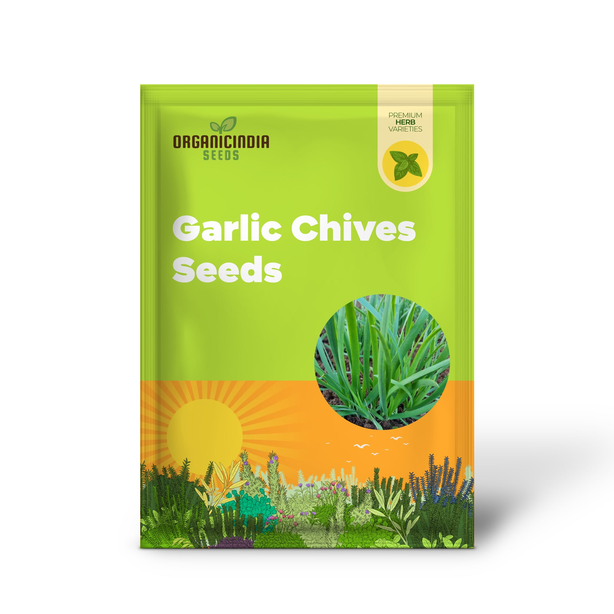Garlic Chives Seeds, High Yield Open-Pollinated Heirloom Chinese Leek, Perfect Seeds for Planting in Home Gardens, Seeds for Gardening
