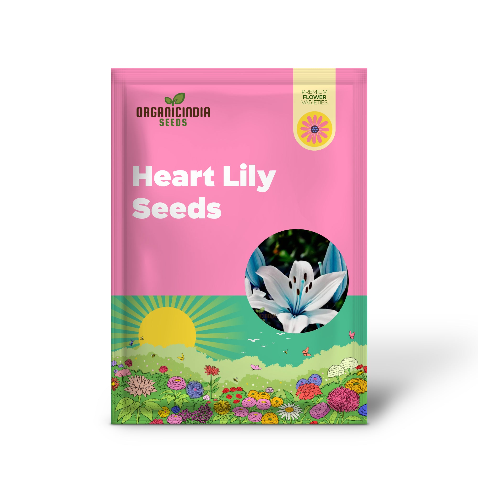 Rare Exotic Blue Heart Lily Seeds for Planting
