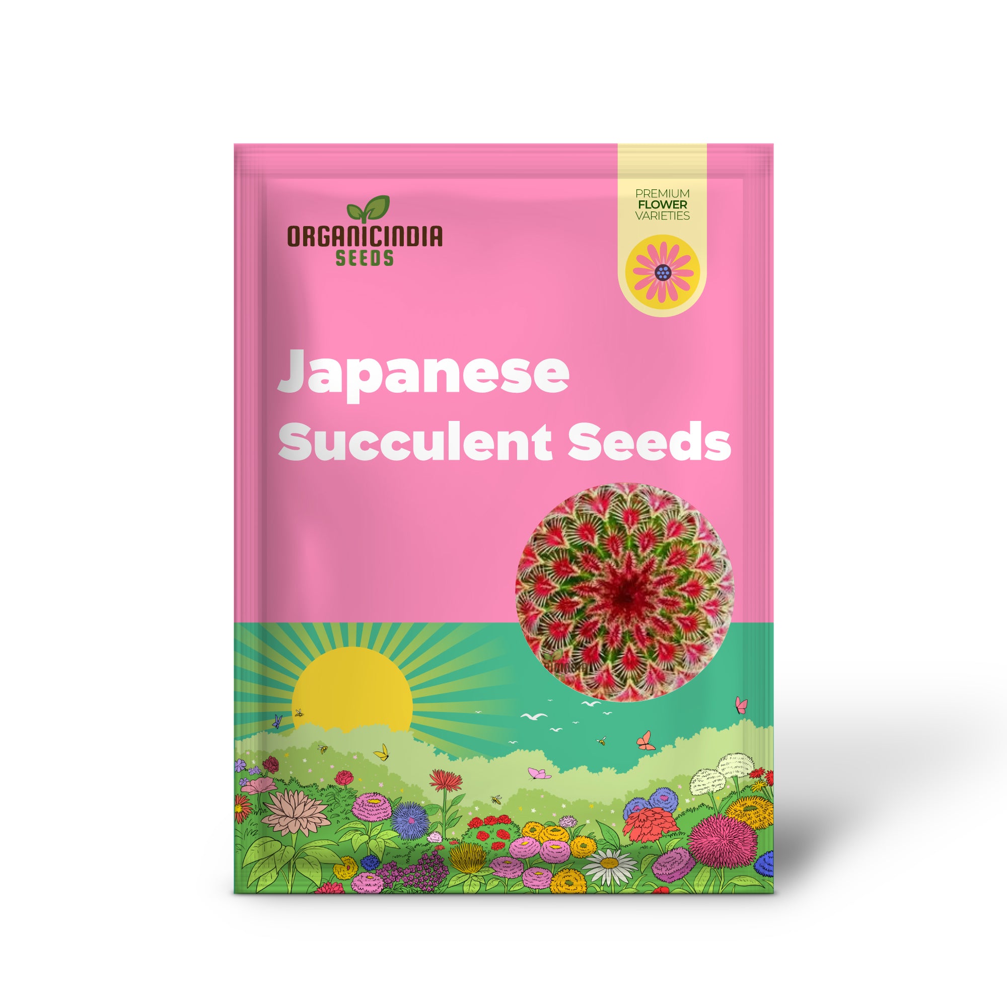 Mini Cactus, Prickly Pear, Japanese Succulent Seeds for Planting (100 pcs)