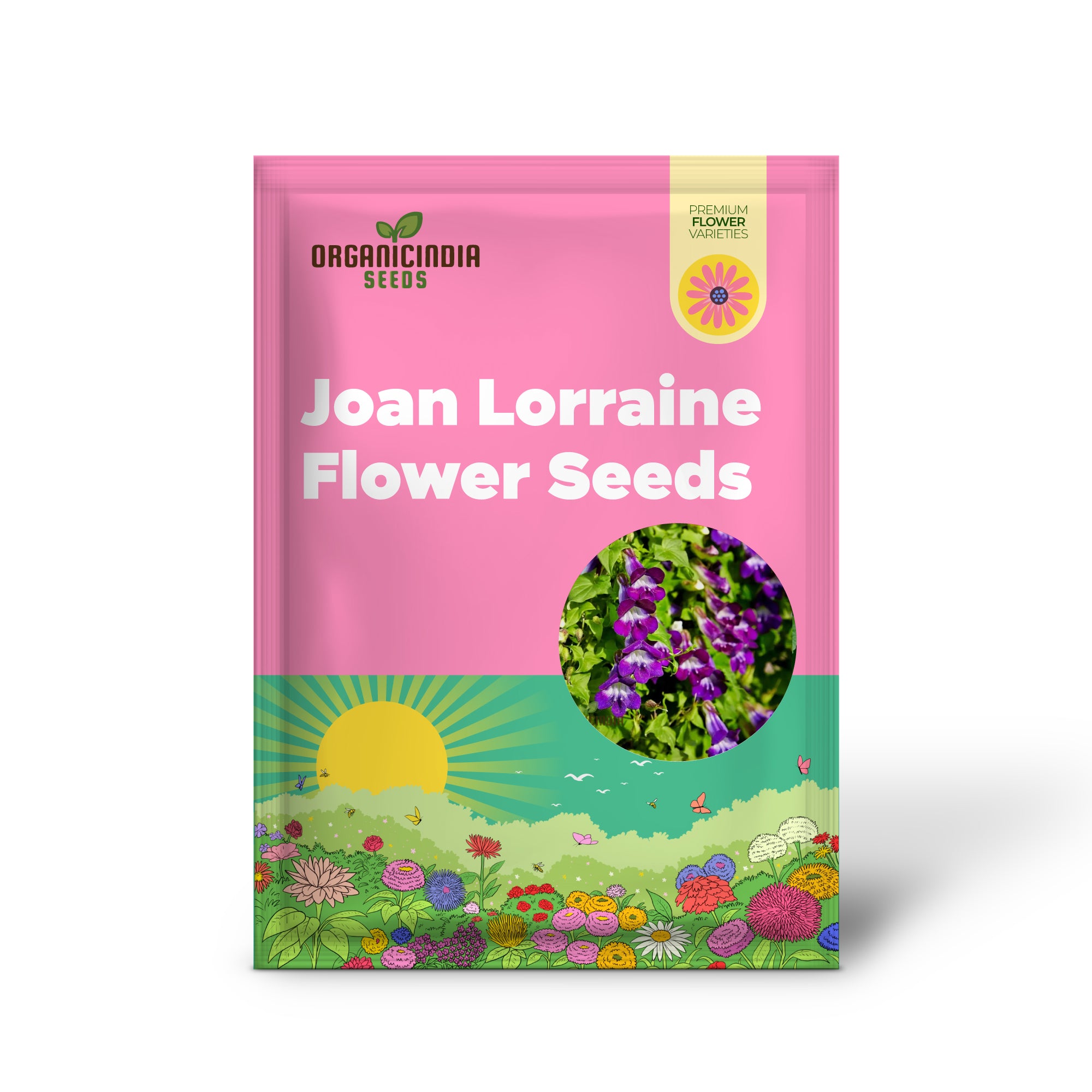 Asarina scandens Joan Lorraine Flower Seeds for Planting 100 pcs