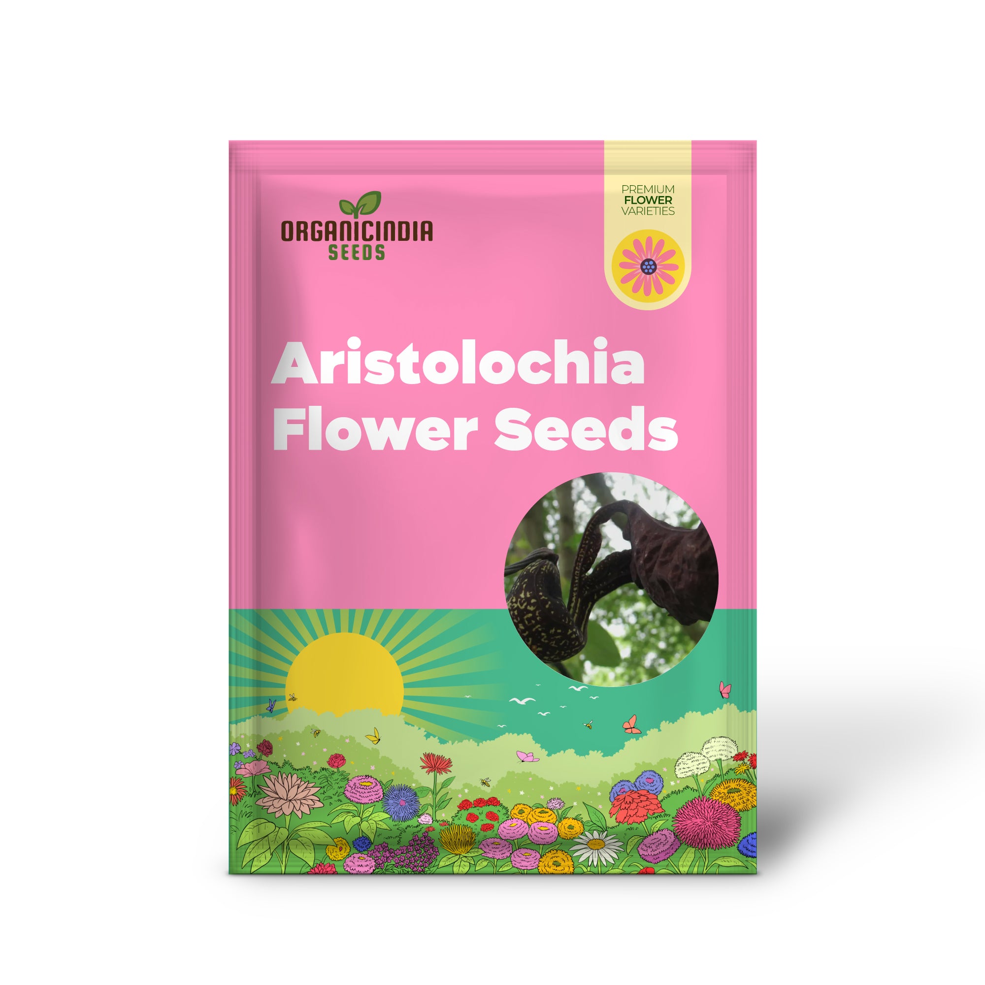 Aristolochia galeata Nova Odessa Flower Seeds for Planting