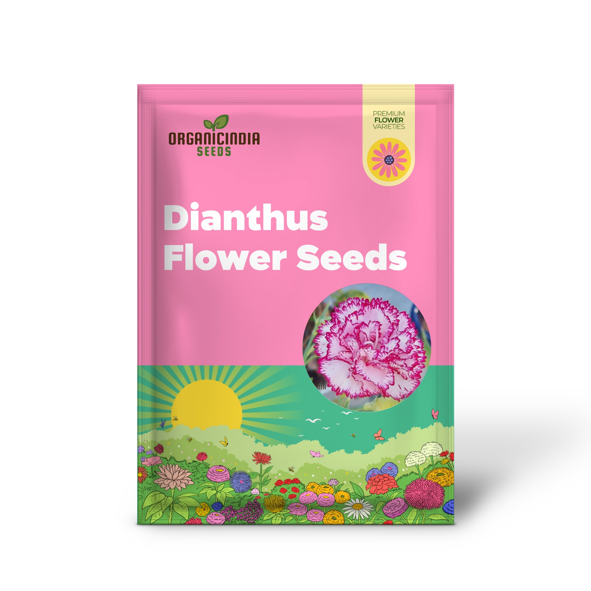 Carnation Seeds – Dianthus Caryophyllus (100 pcs)