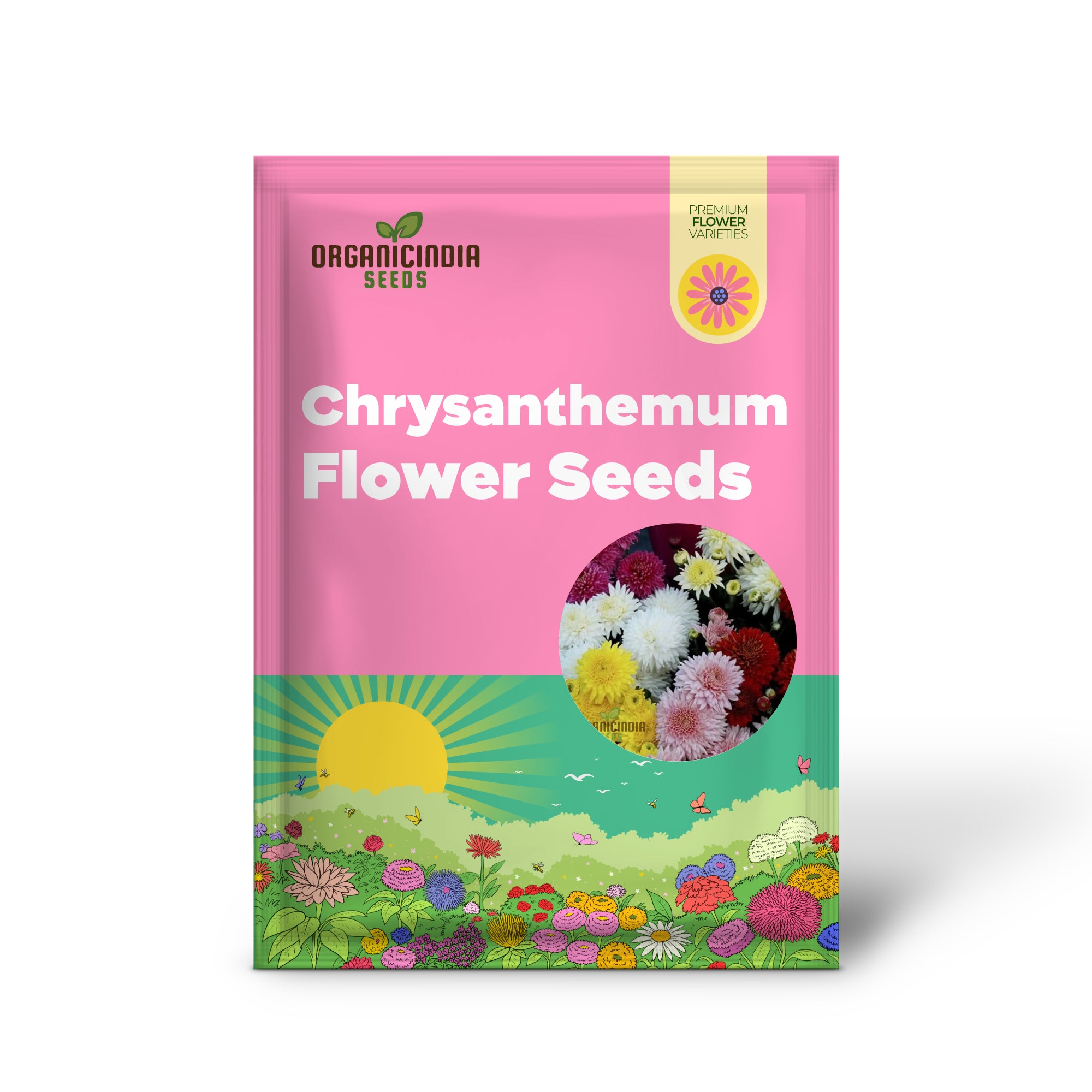 Chrysanthemen-Zierblumensamen zum Anpflanzen - 100 Stück