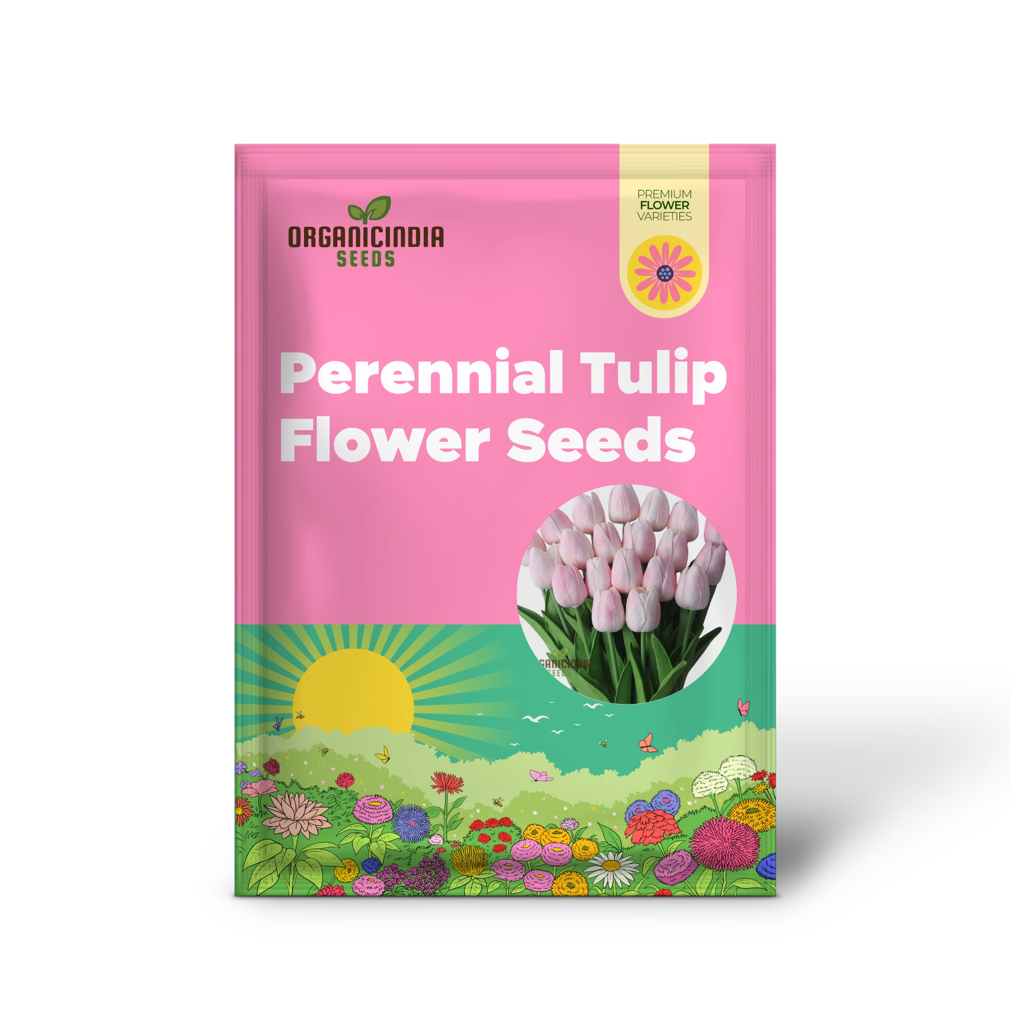 Perennial Tulip Flower Seeds for Outdoor Planting