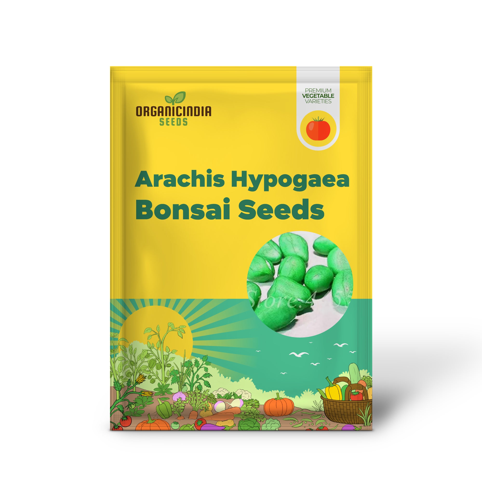 Arachis Hypogaea Bonsai-Samen – Seltenes Erbstück (100 Stück)