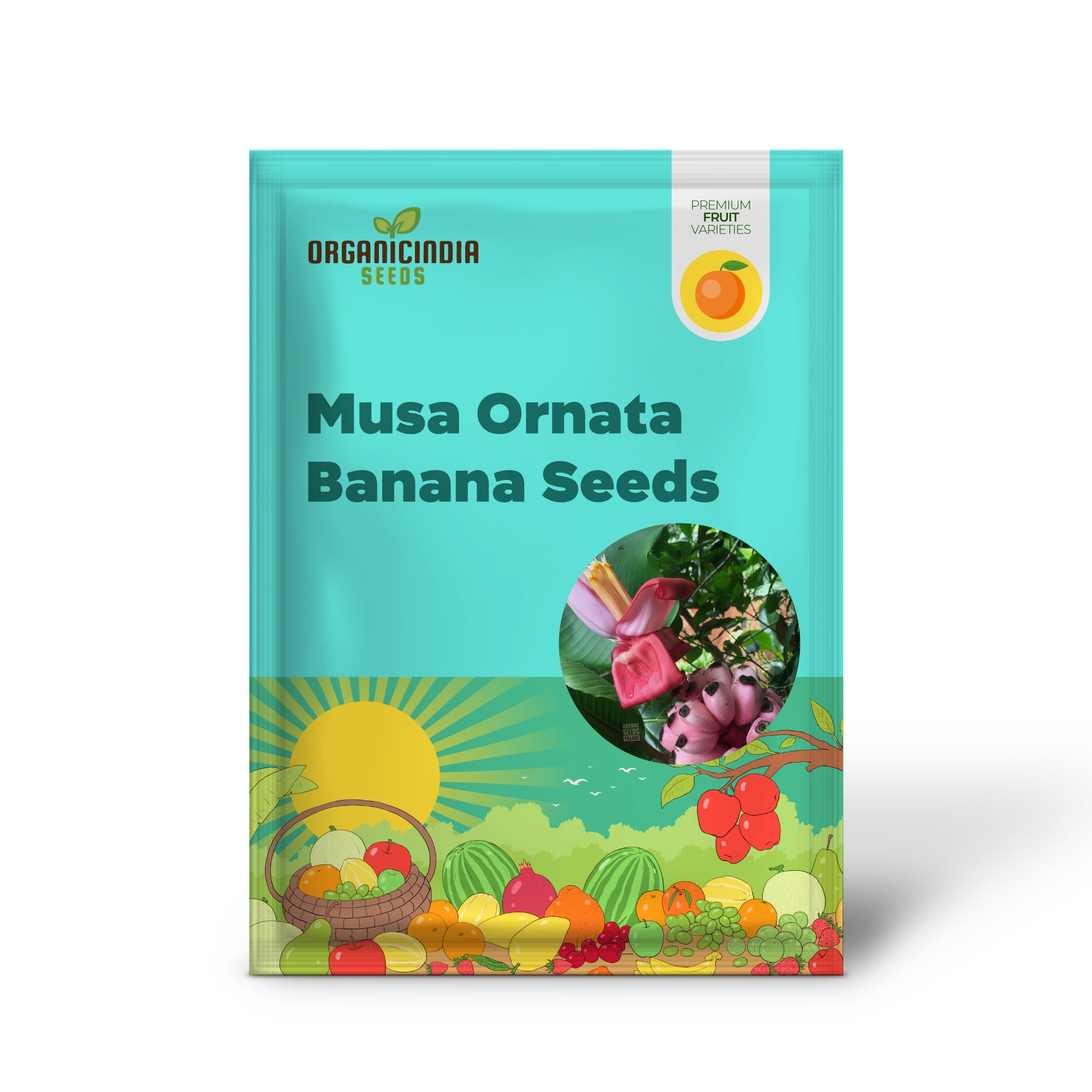 Musa Ornata Blossom Banana Seeds for Planting