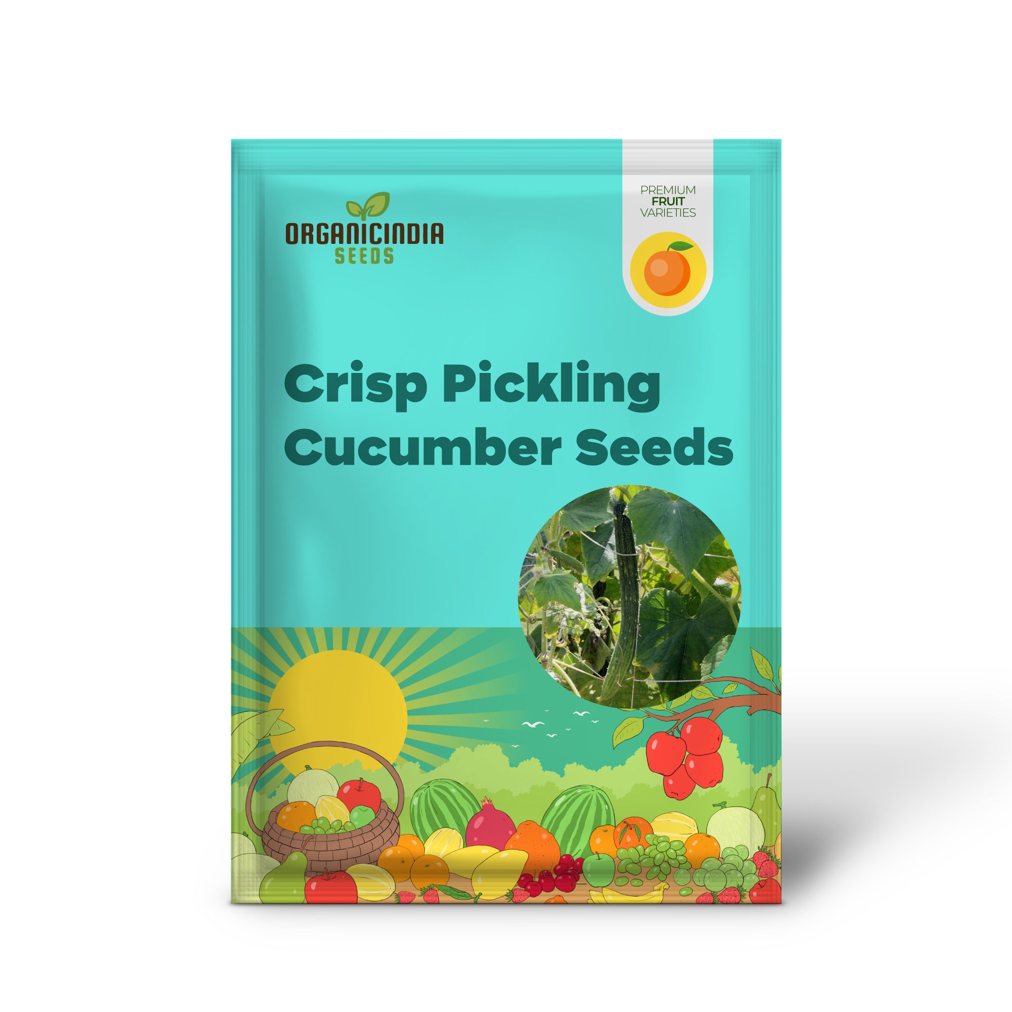 Long Crisp Pickling Cucumber Seeds for Planting