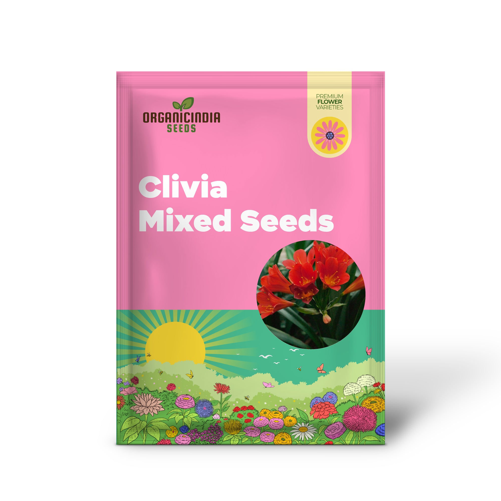Mélange de graines de Clivia à planter - 100 pièces