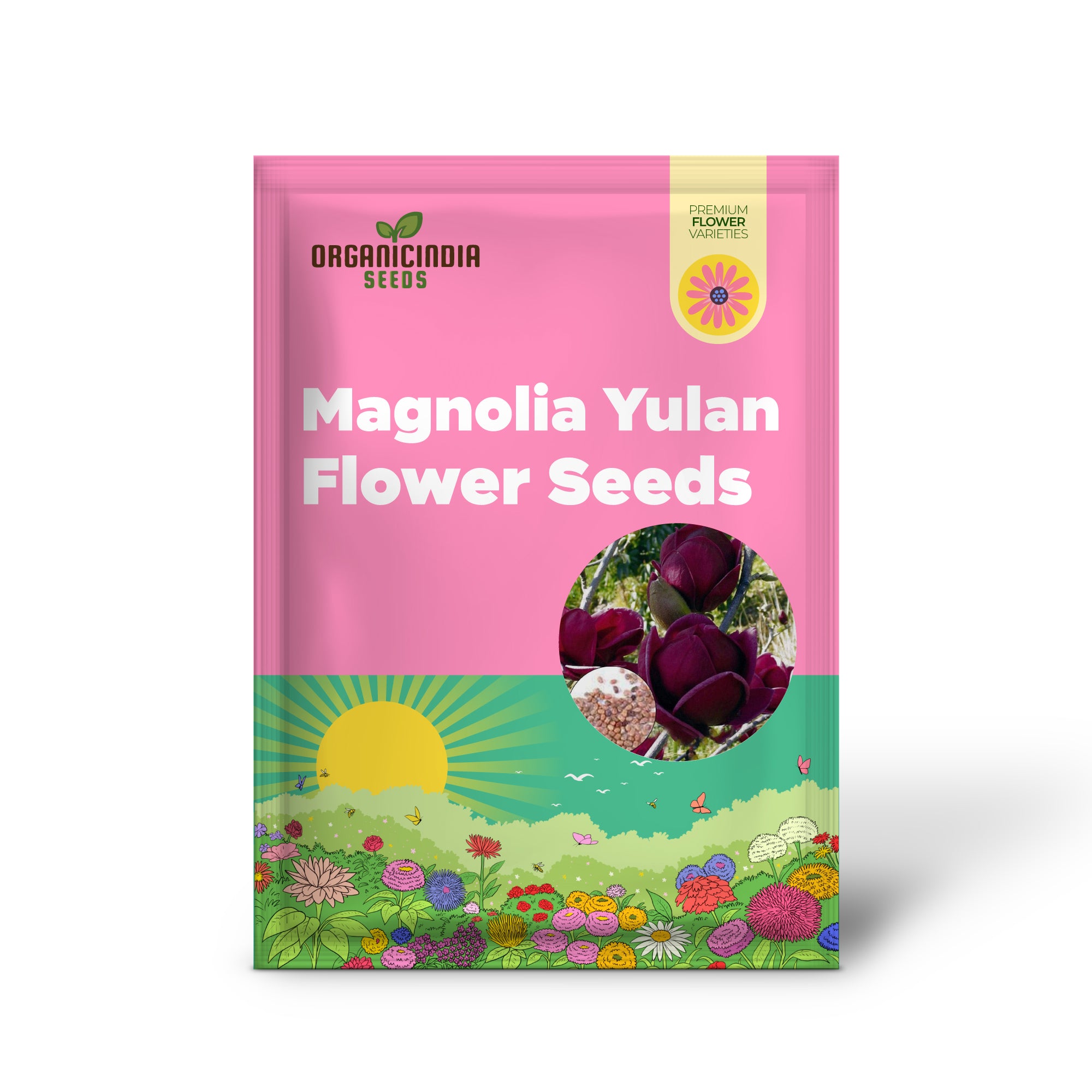 Magnolia Yulan Tulpenbaum Blumensamen zum Anpflanzen - 100 Stück