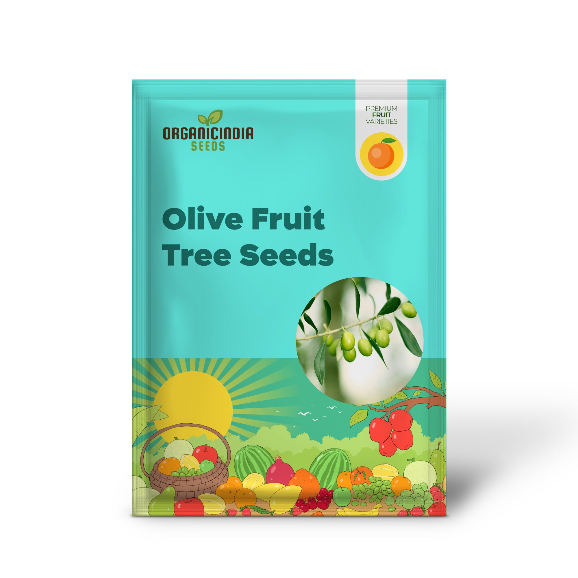 Olive Fruit Tree Seeds for Planting  Non GMO, Evergreen Perennial
