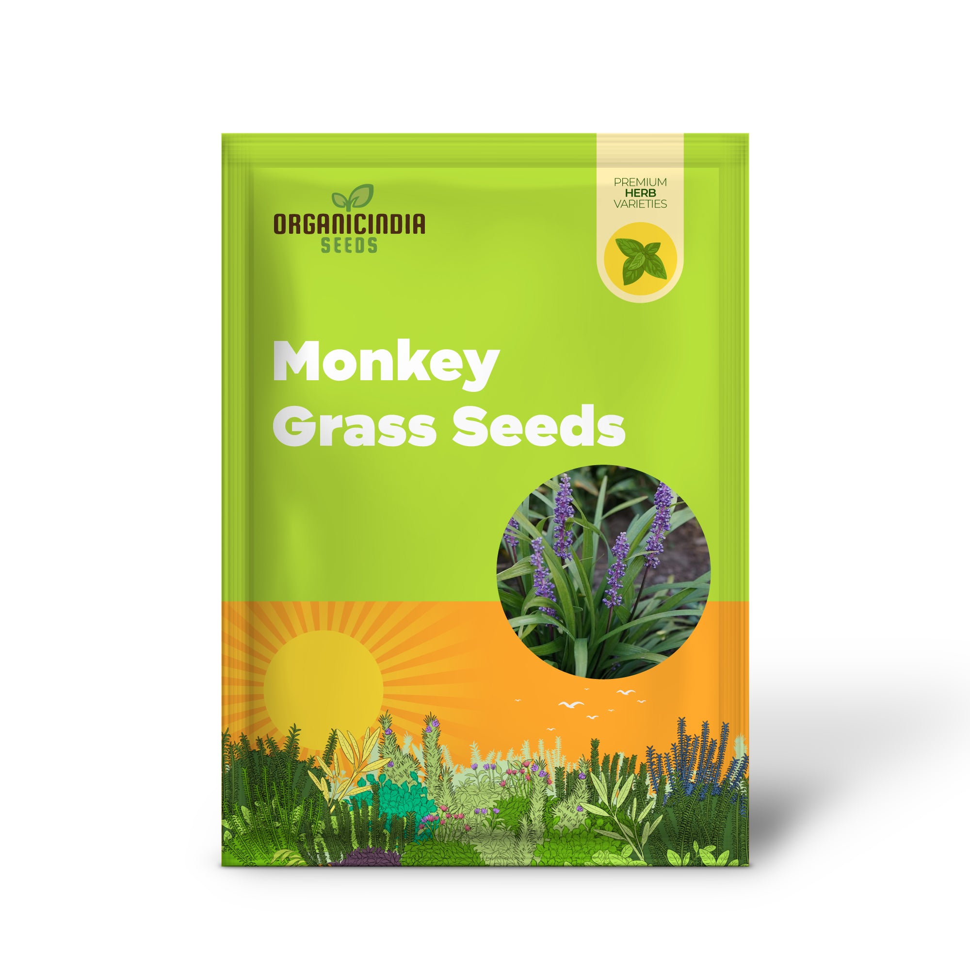 Graines d'herbe de singe – Liriope, plante vivace couvre-sol ou plante de bordure nécessitant peu d'entretien pour l'aménagement paysager